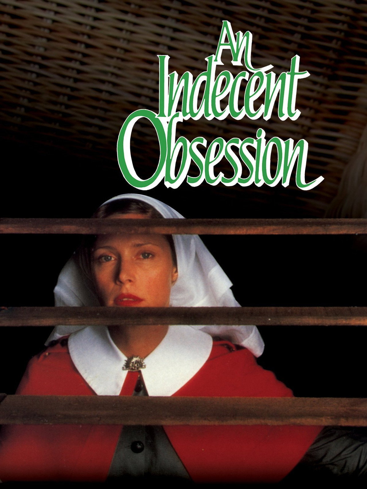 Pôster de An Indecent Obsession