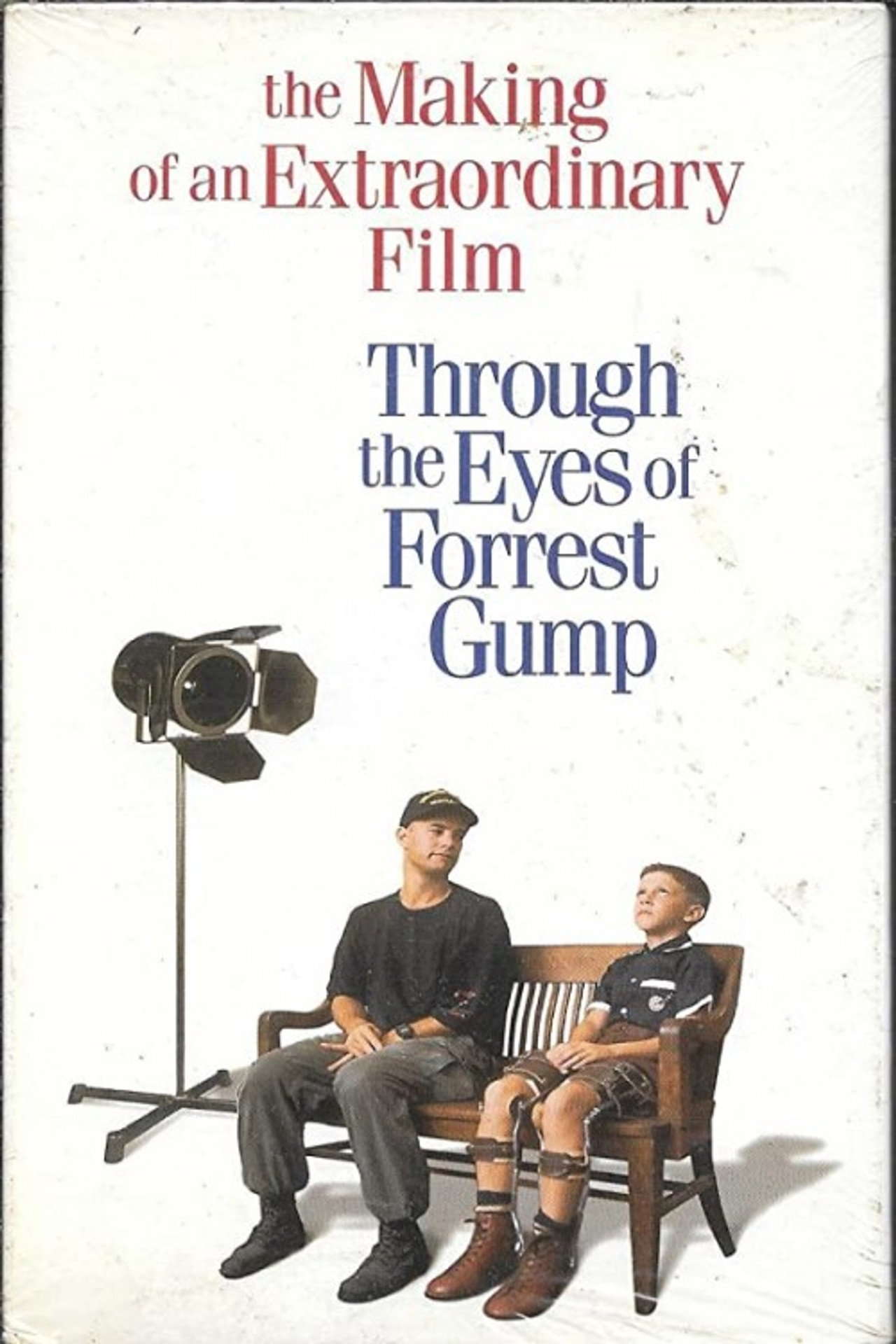 Pôster de Through the Eyes of Forrest Gump