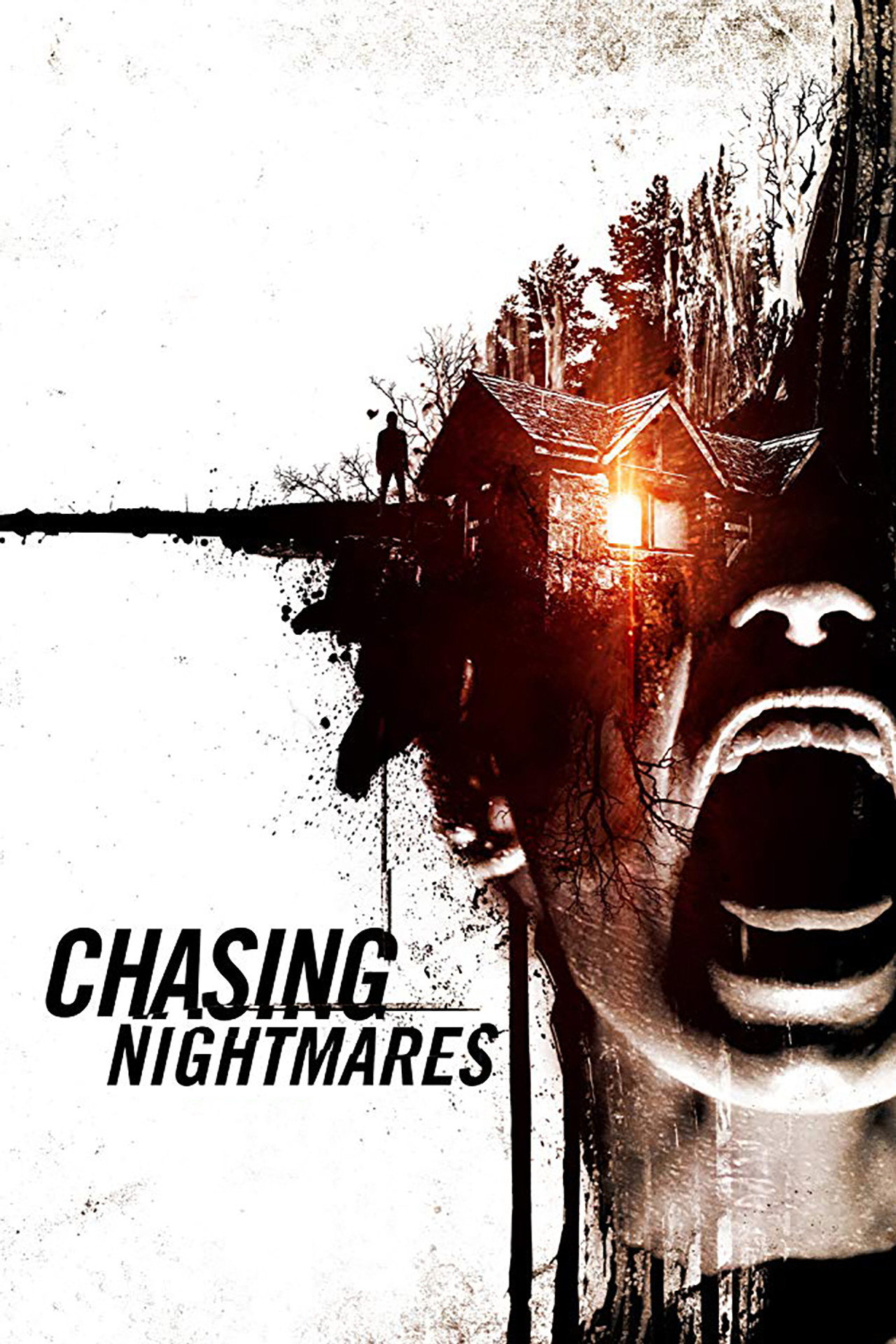 Pôster de Chasing Nightmares