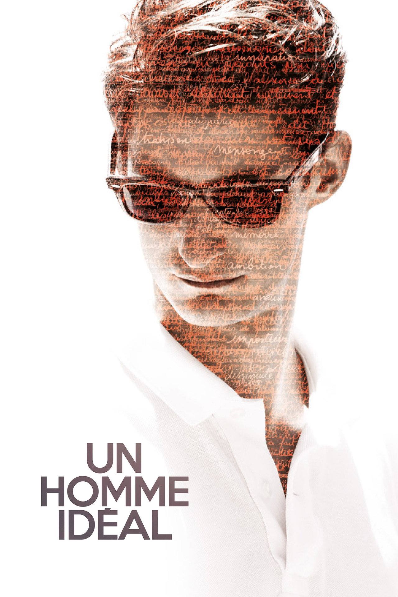 Pôster de A Perfect Man