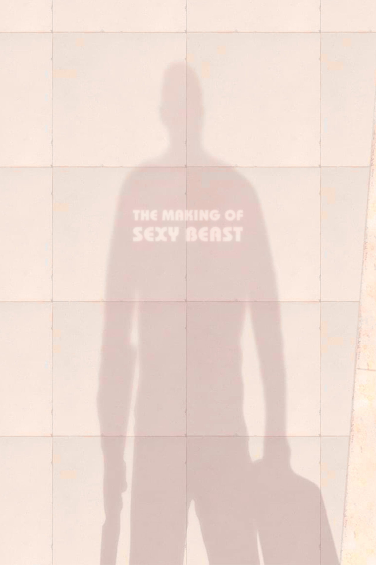Pôster de The Making of Sexy Beast