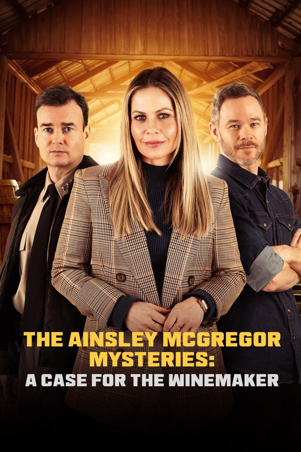 Pôster de The Ainsley McGregor Mysteries: A Case for the Winemaker