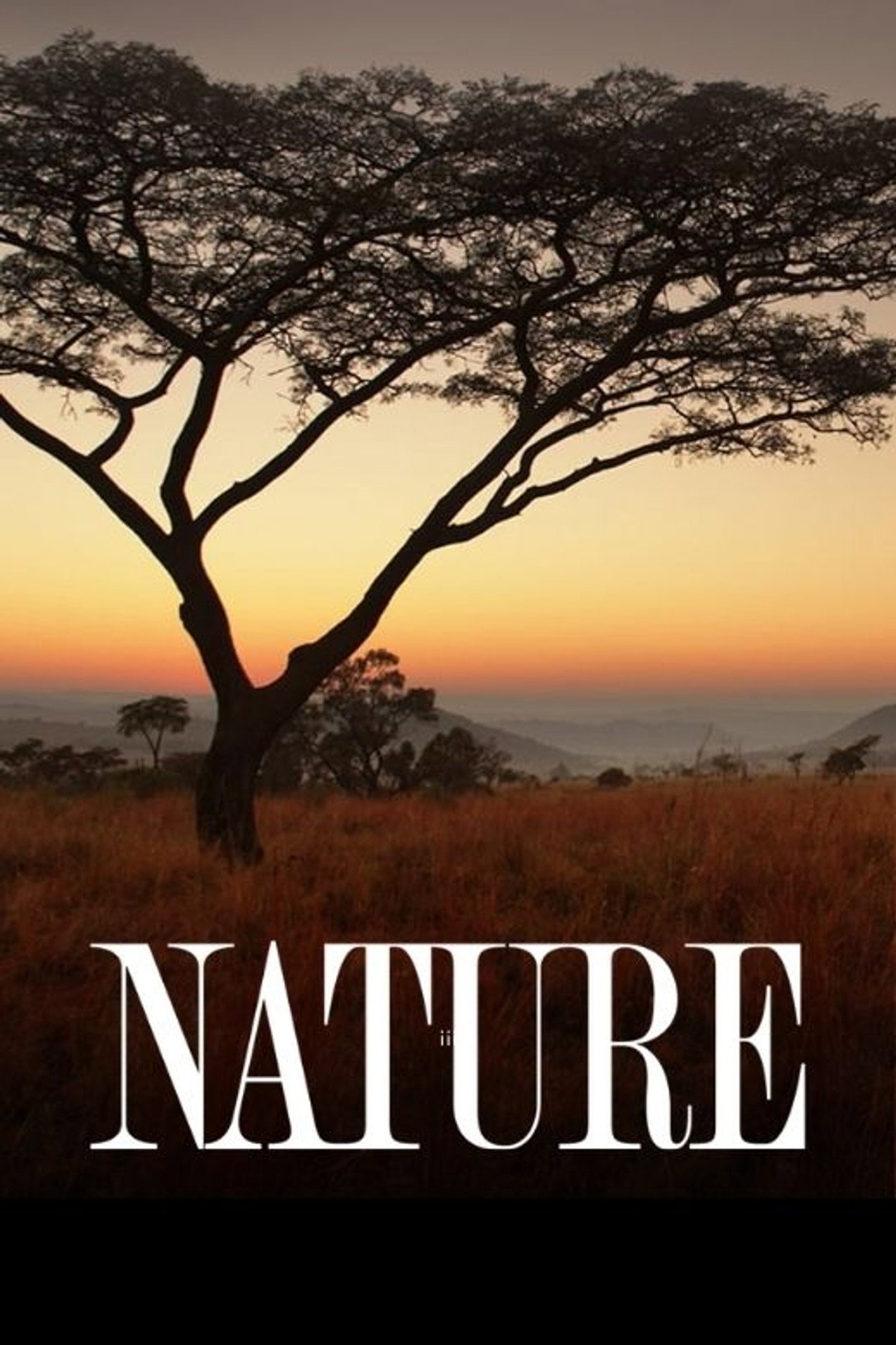 Pôster de Nature