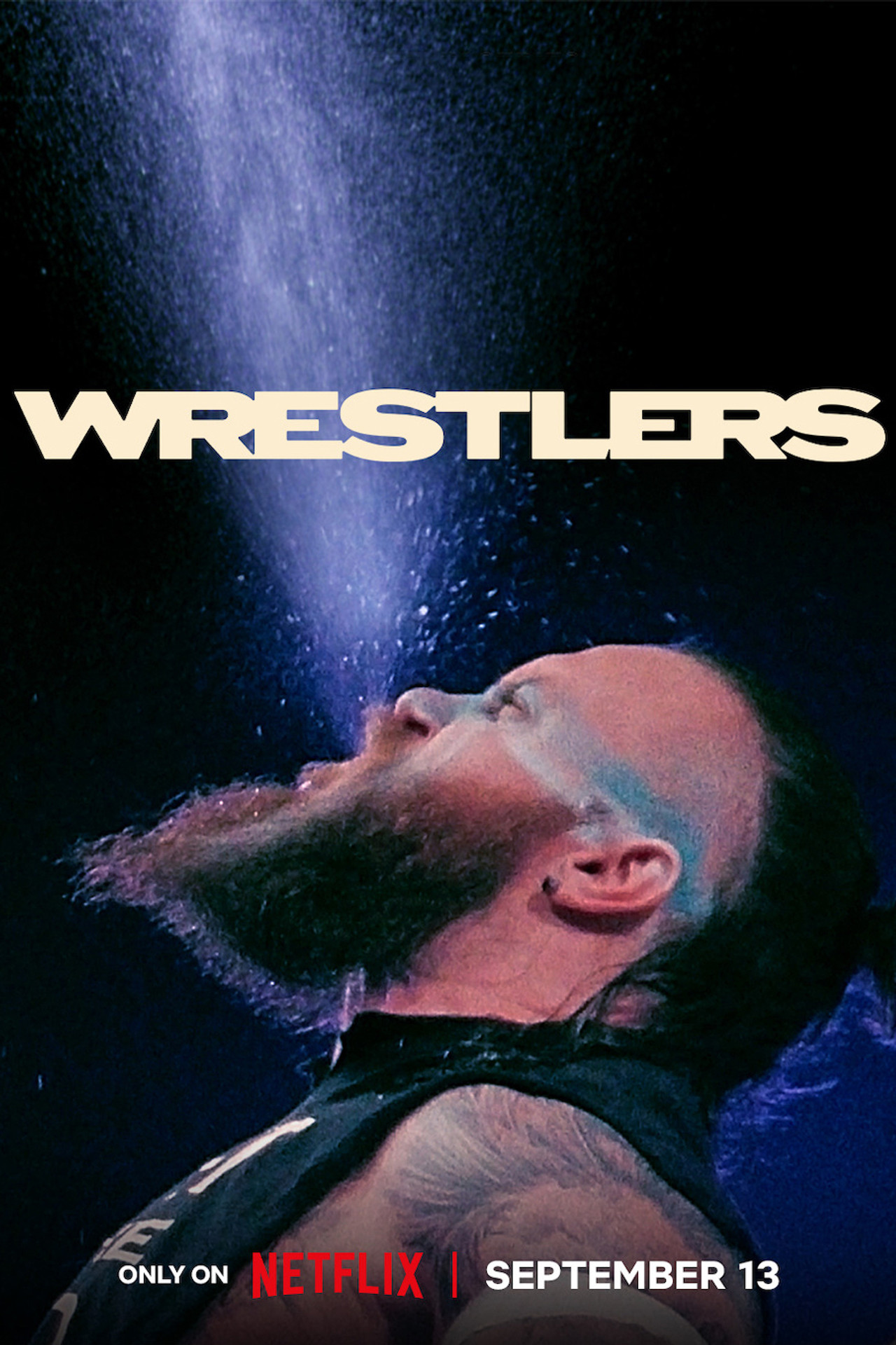 Pôster de Wrestlers