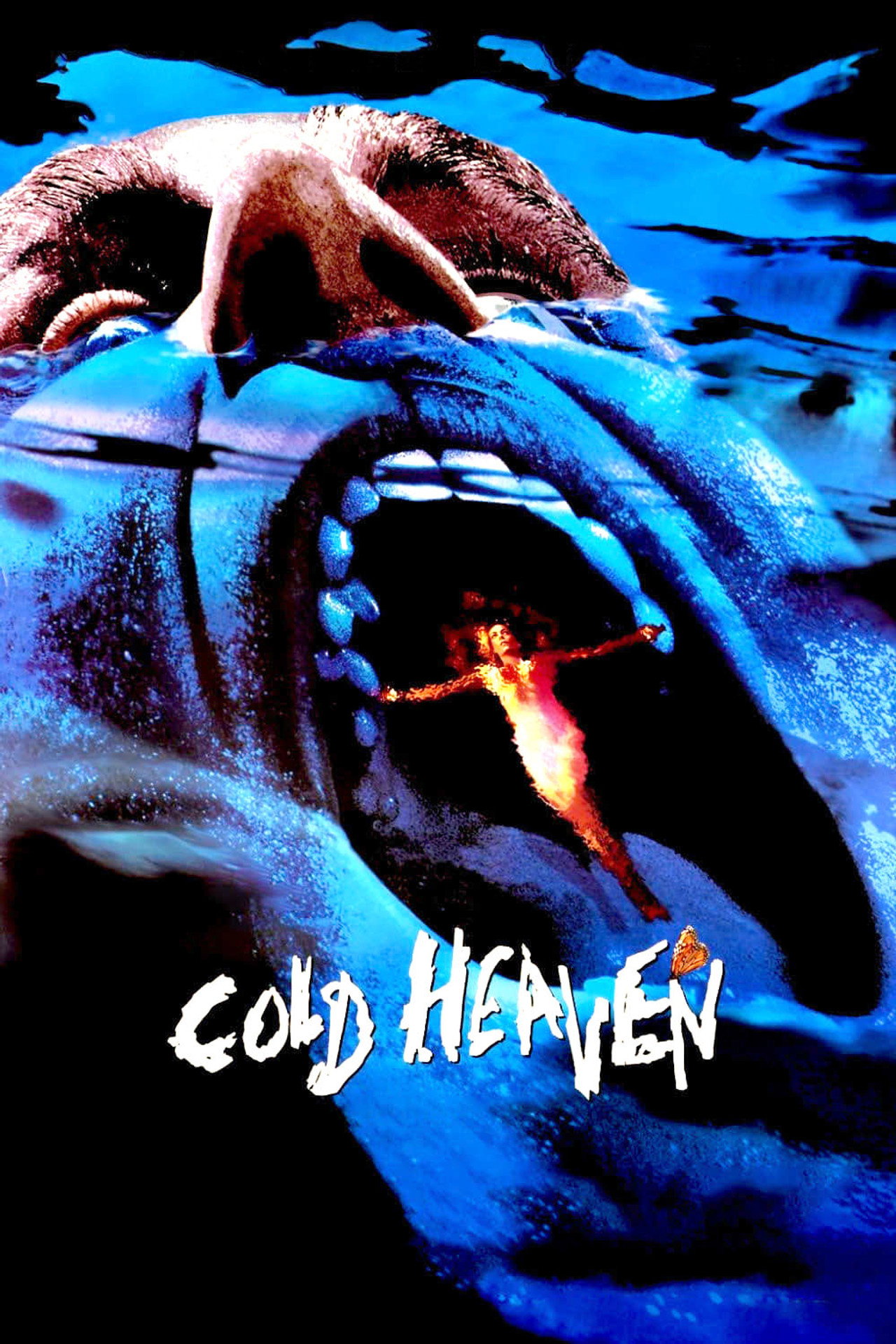 Pôster de Cold Heaven