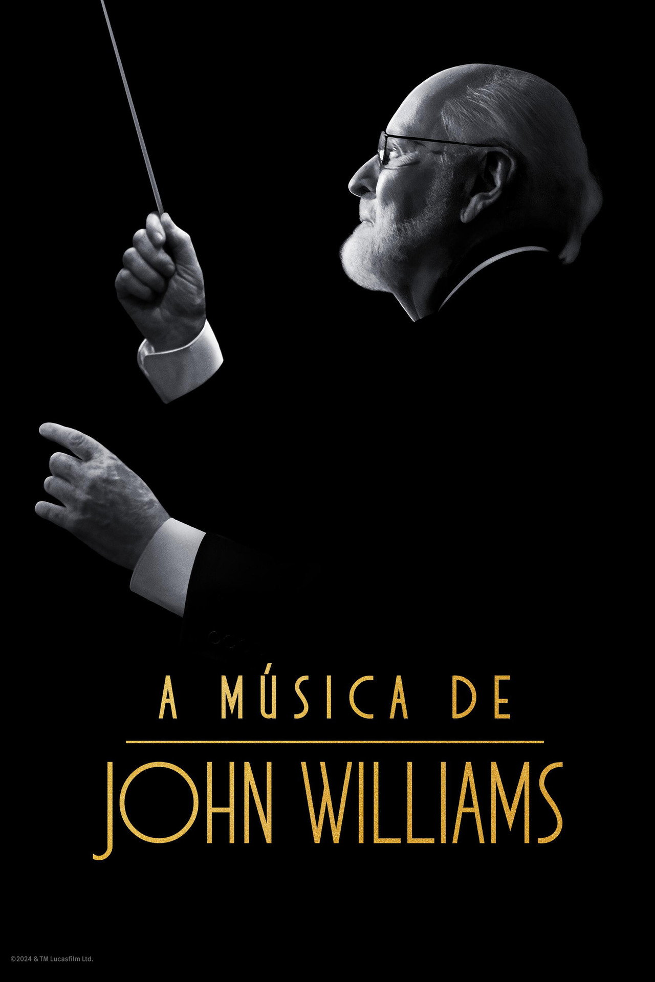 Pôster de A Música de John Williams