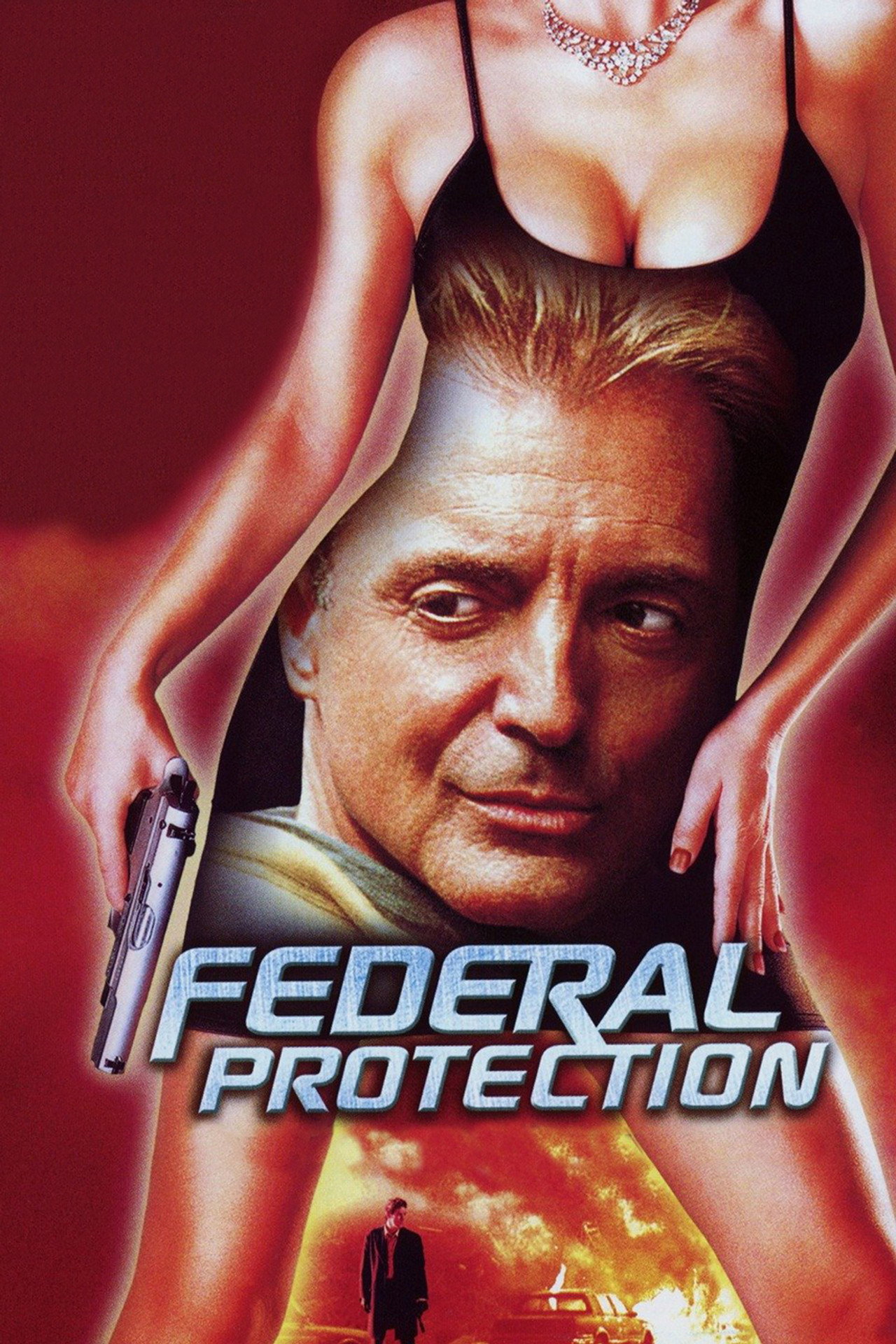 Pôster de Federal Protection