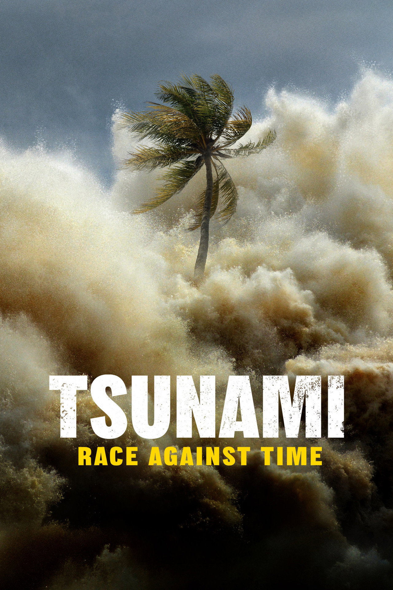 Pôster de Tsunami: Race Against Time