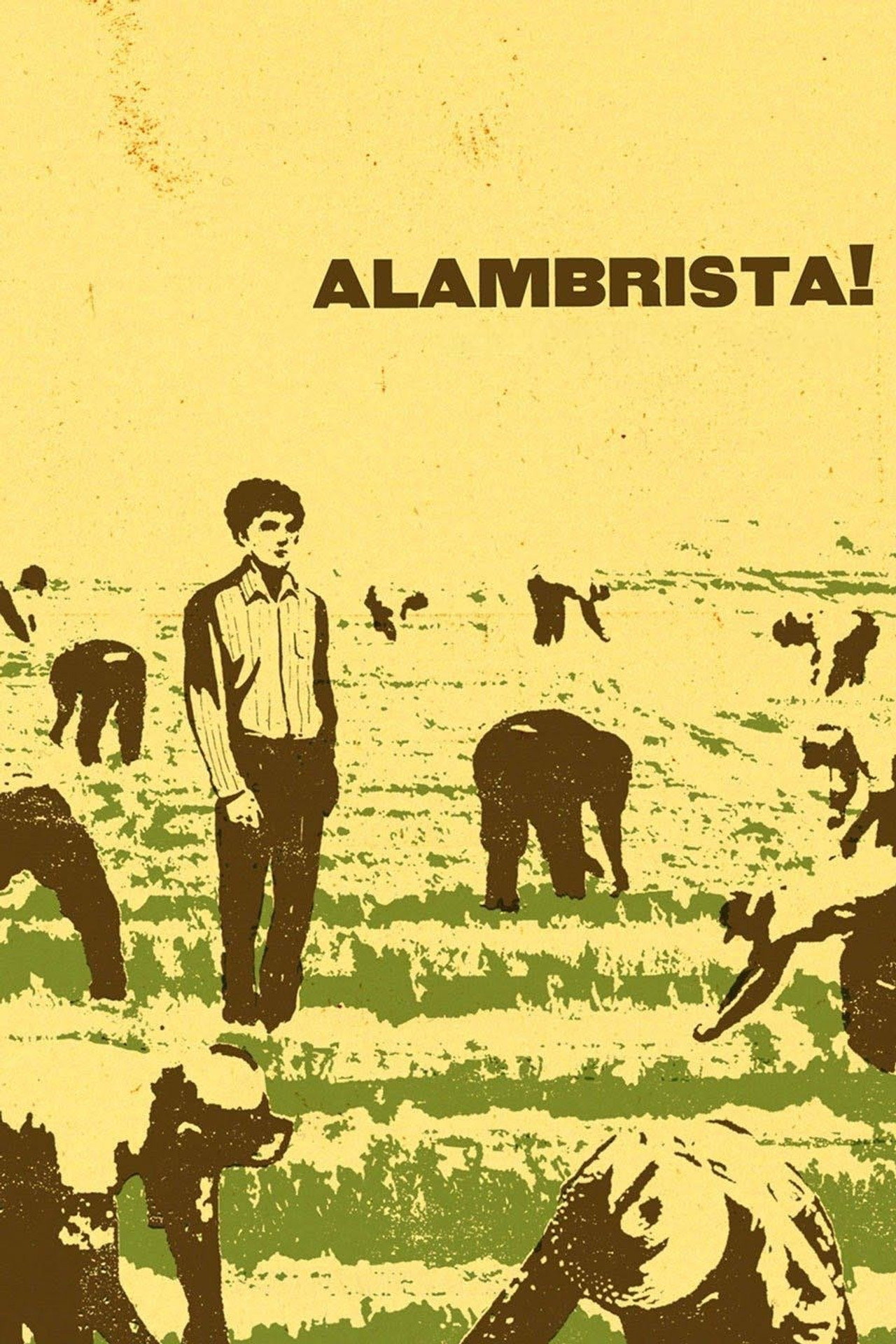 Pôster de Alambrista!
