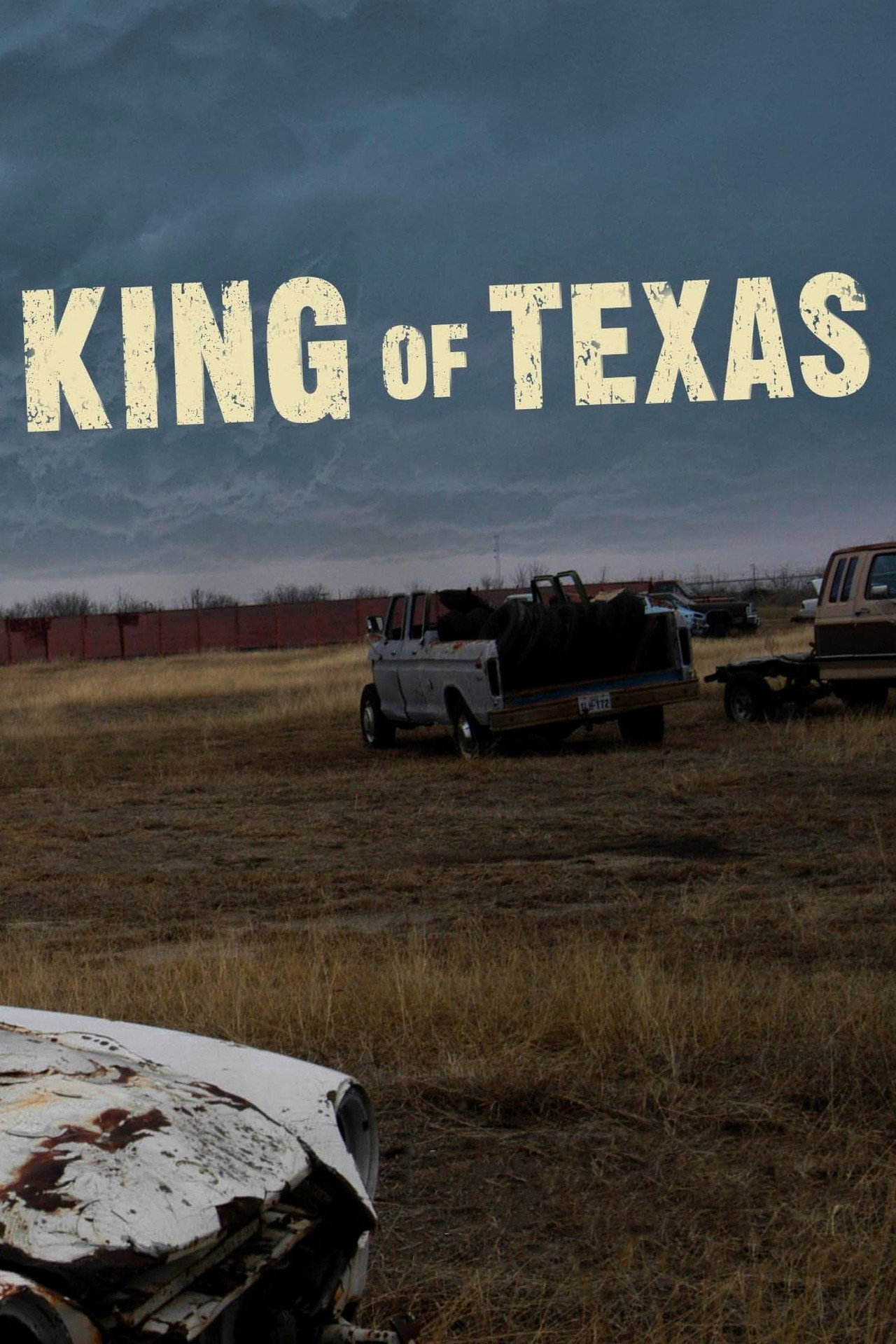 Pôster de The King of Texas