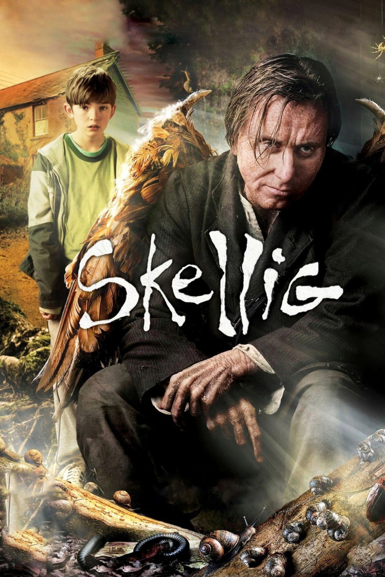 Pôster de Skellig