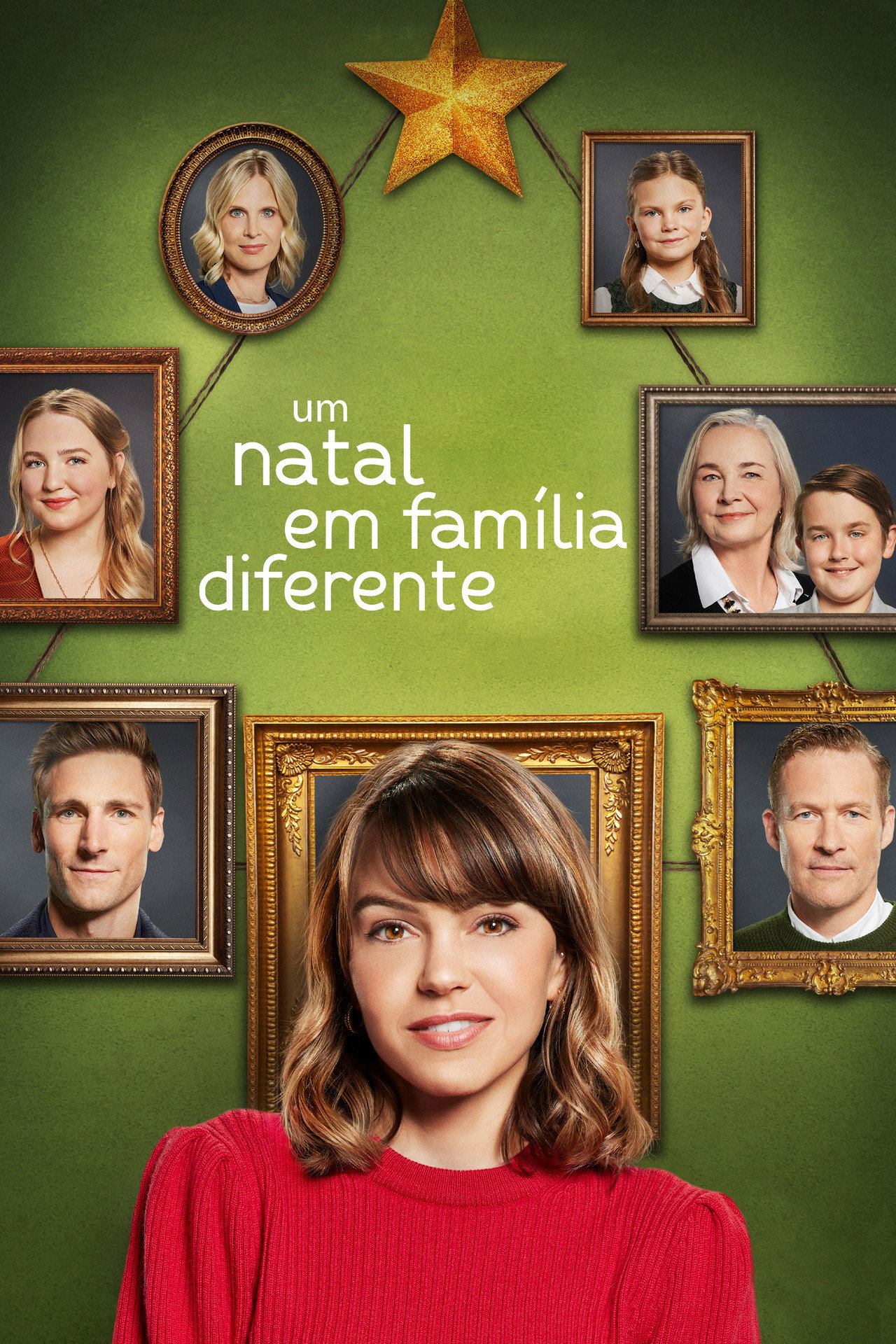 Pôster de Um Natal em Família Diferente