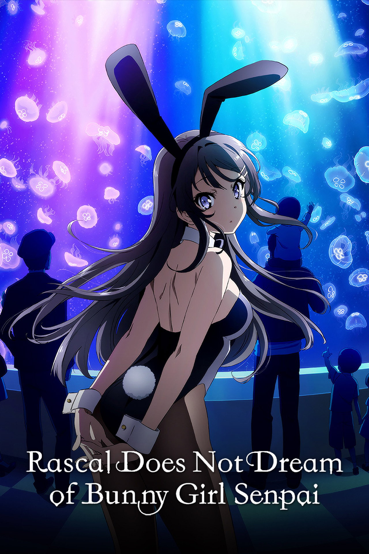 Pôster de Rascal Does Not Dream of Bunny Girl Senpai