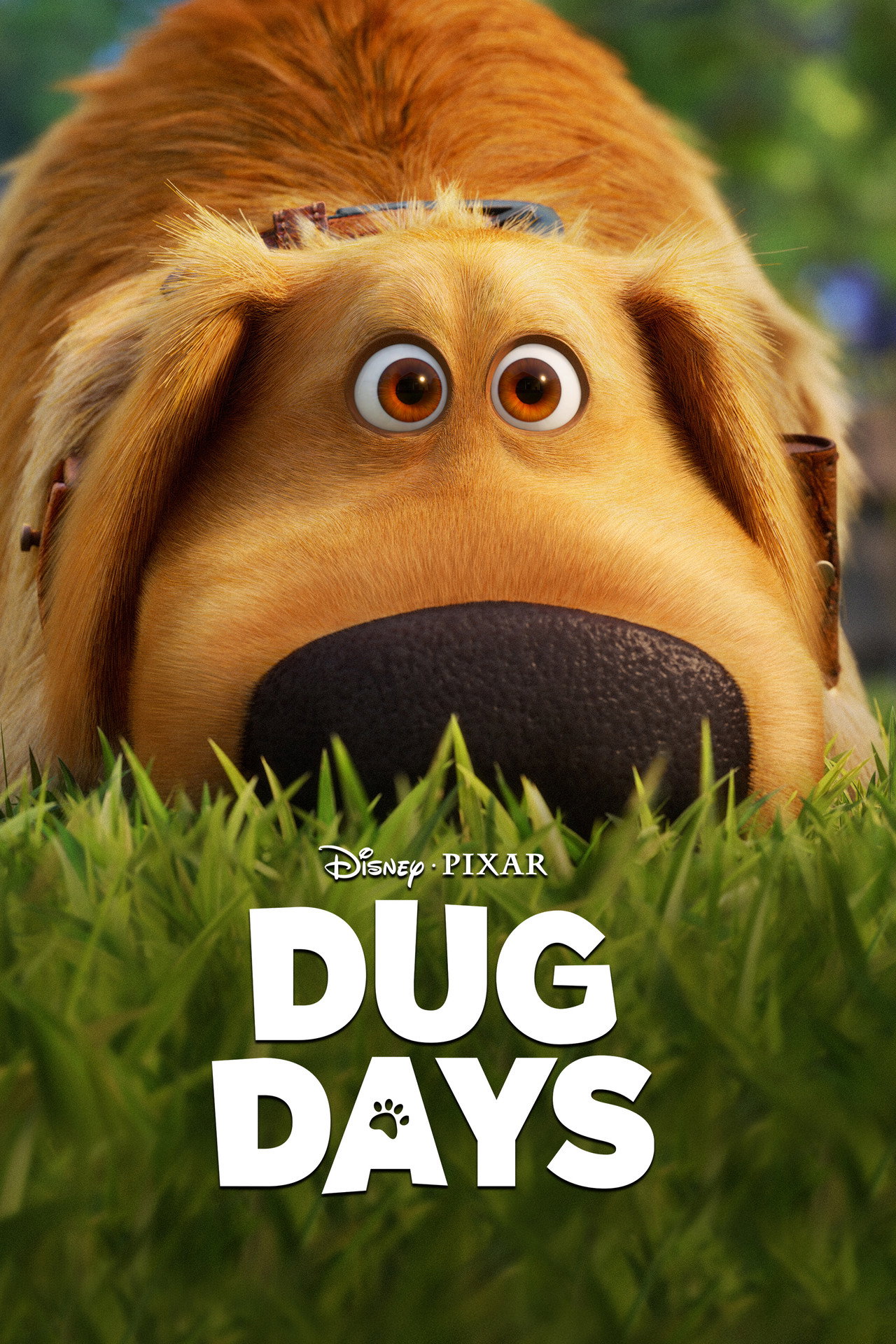 Pôster de Dug Days