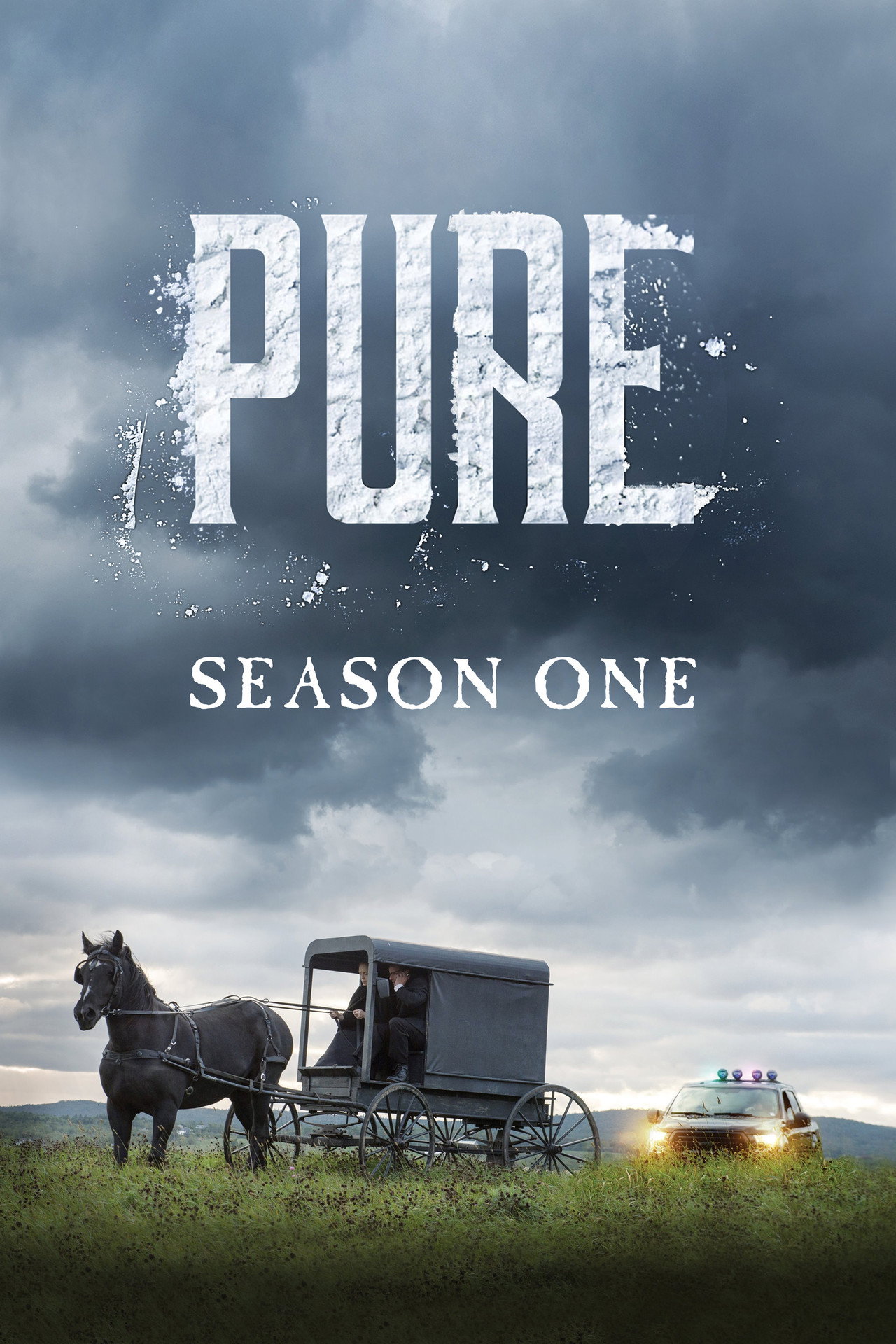 Pôster de Pure