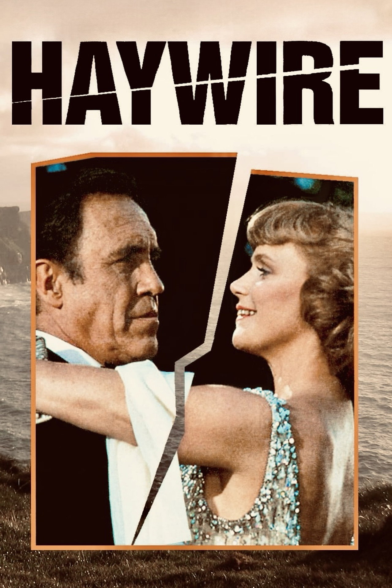 Pôster de Haywire