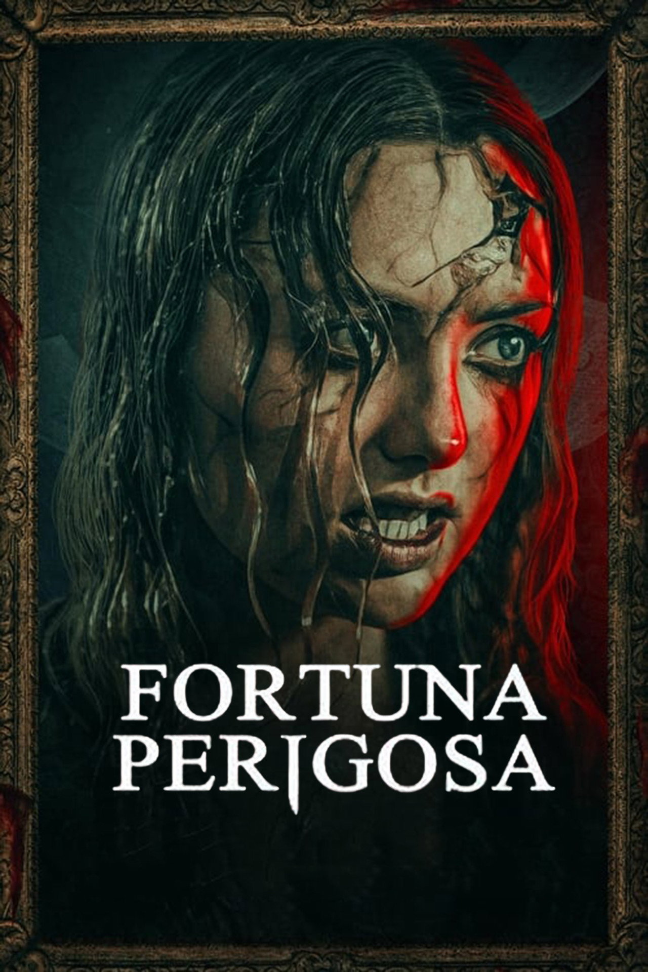 Pôster de Fortuna Perigosa