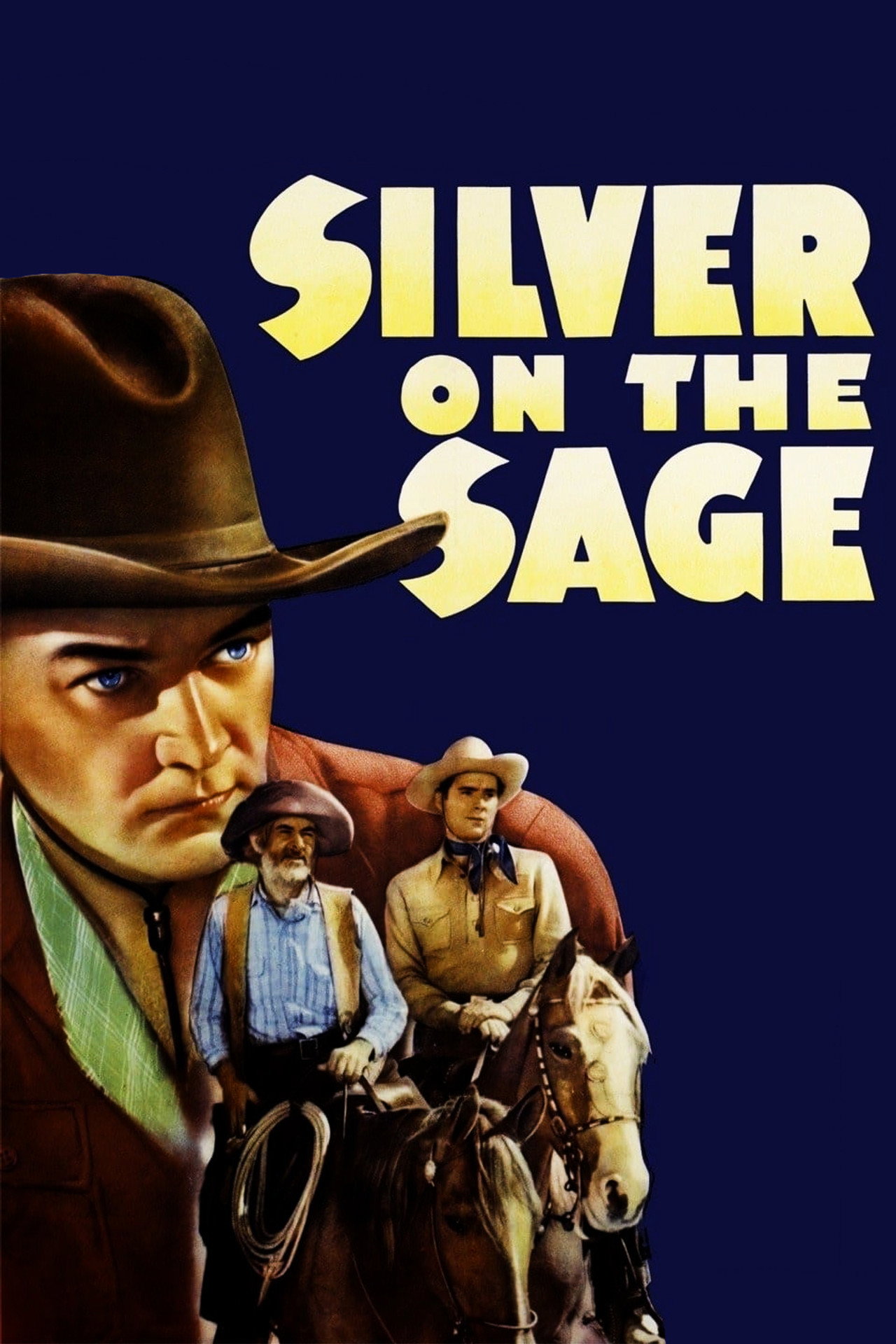 Pôster de Silver on the Sage