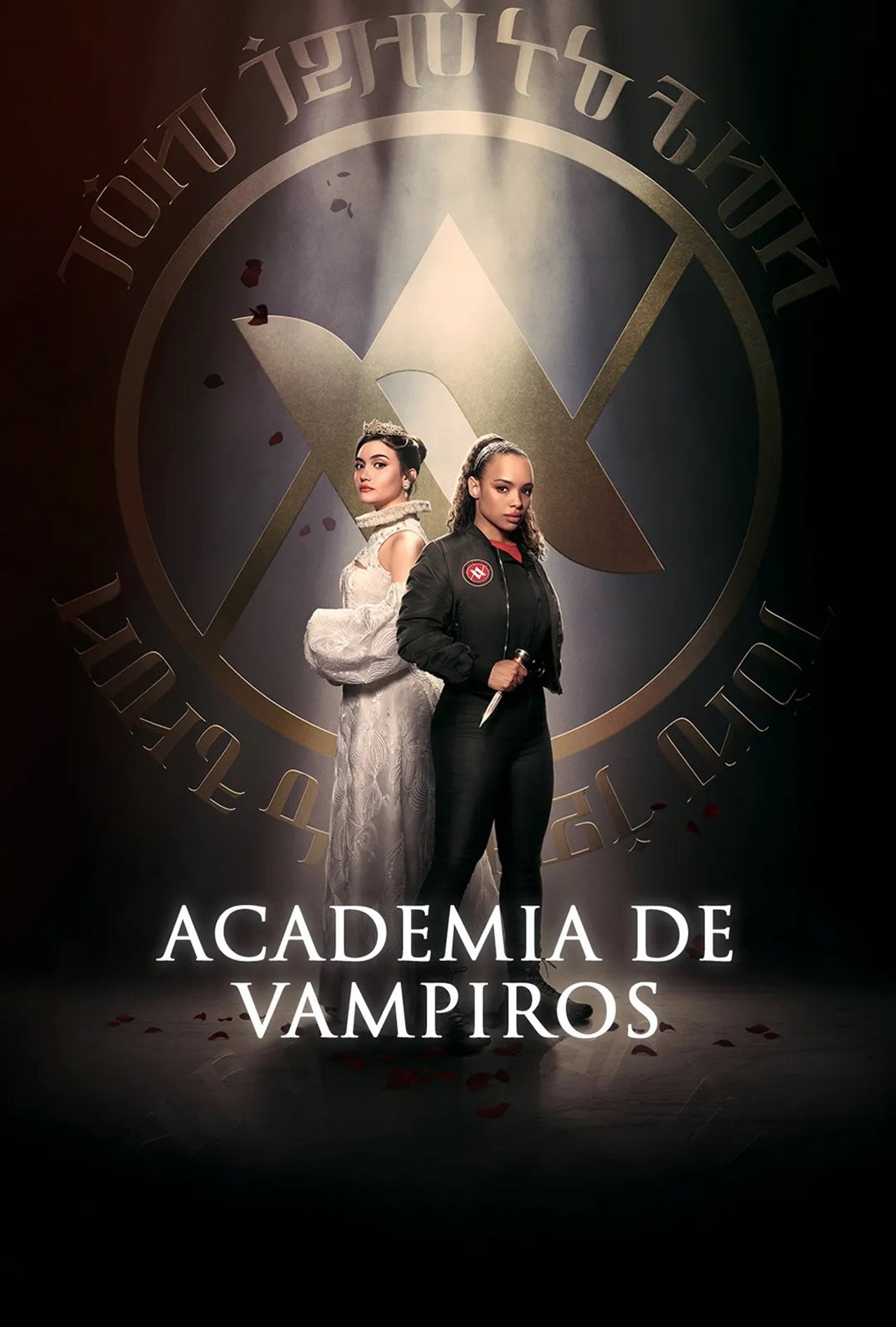 Pôster de Academia de Vampiros