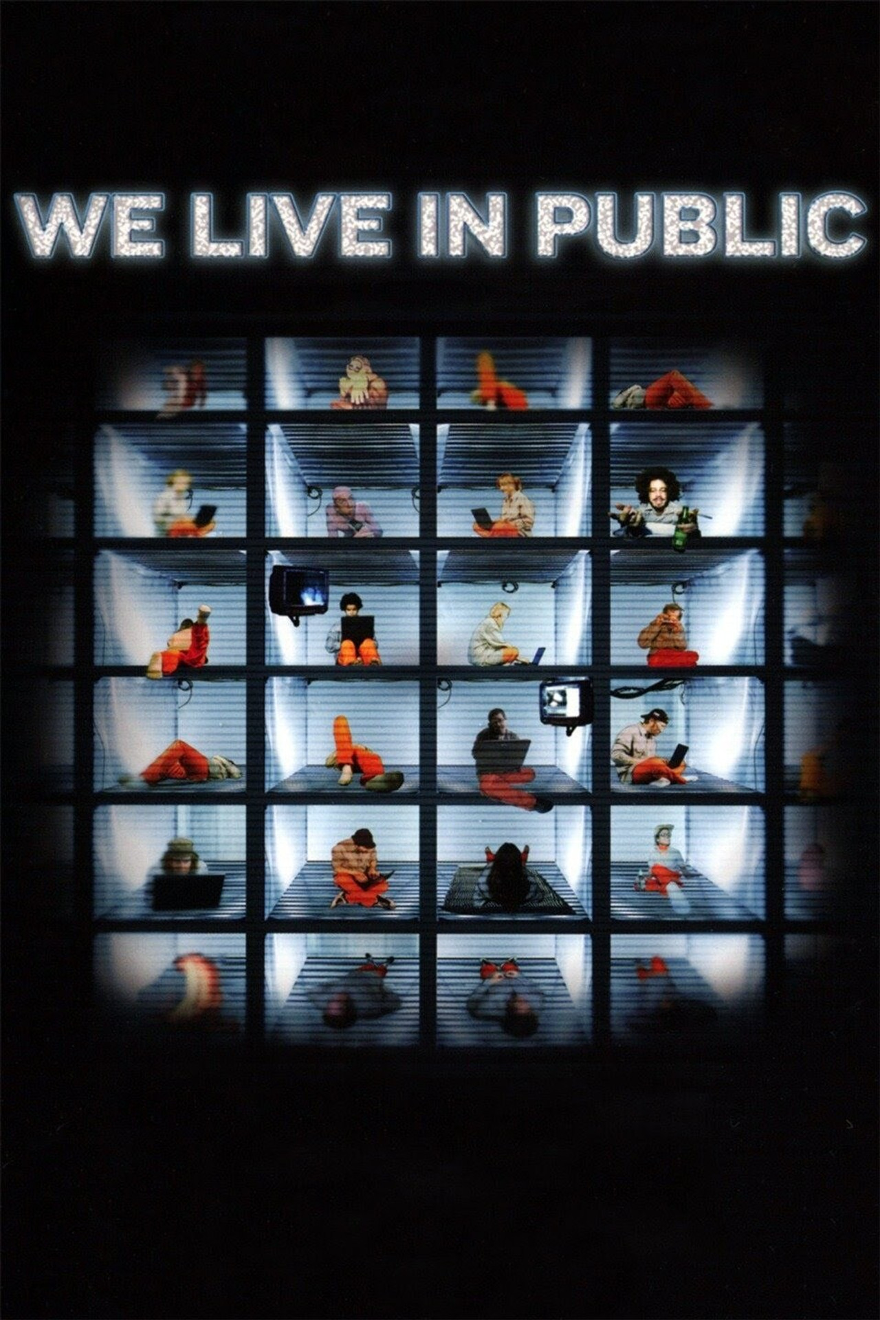 Pôster de We Live in Public