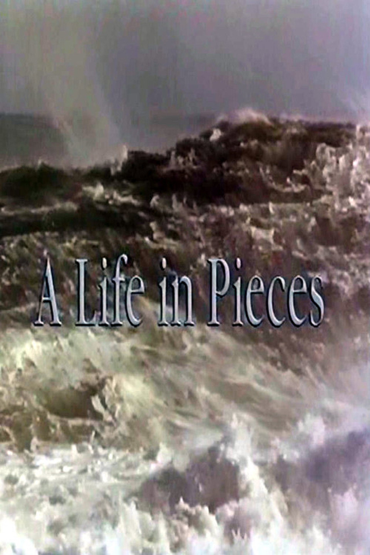 Pôster de A Life In Pieces