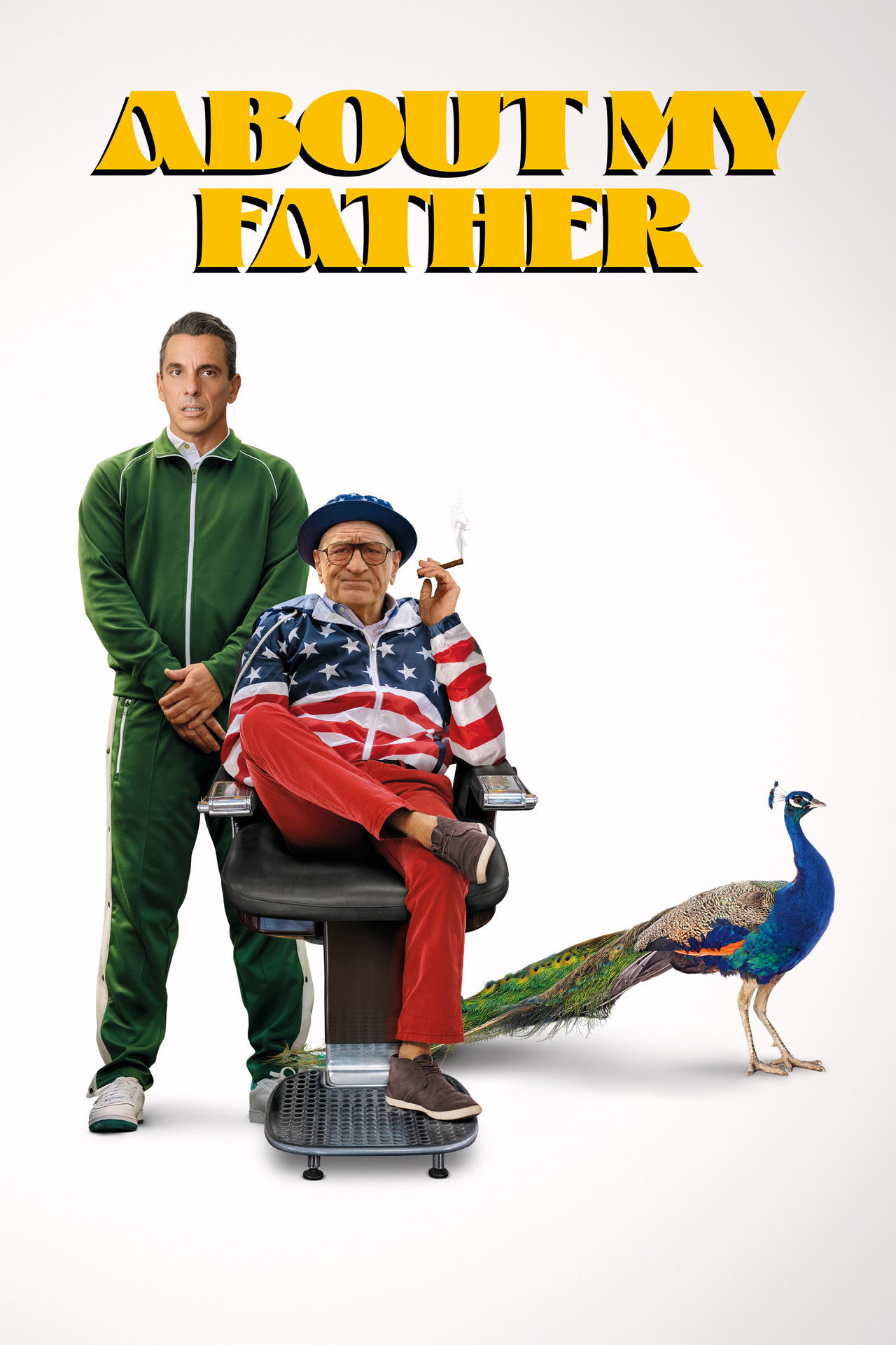 Pôster de About My Father