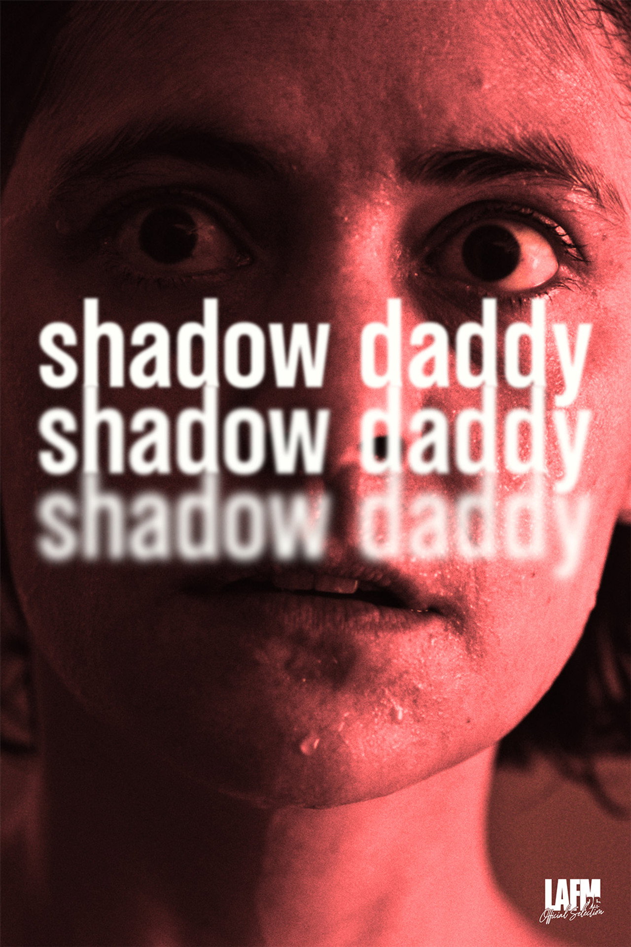 Pôster de Shadow Daddy
