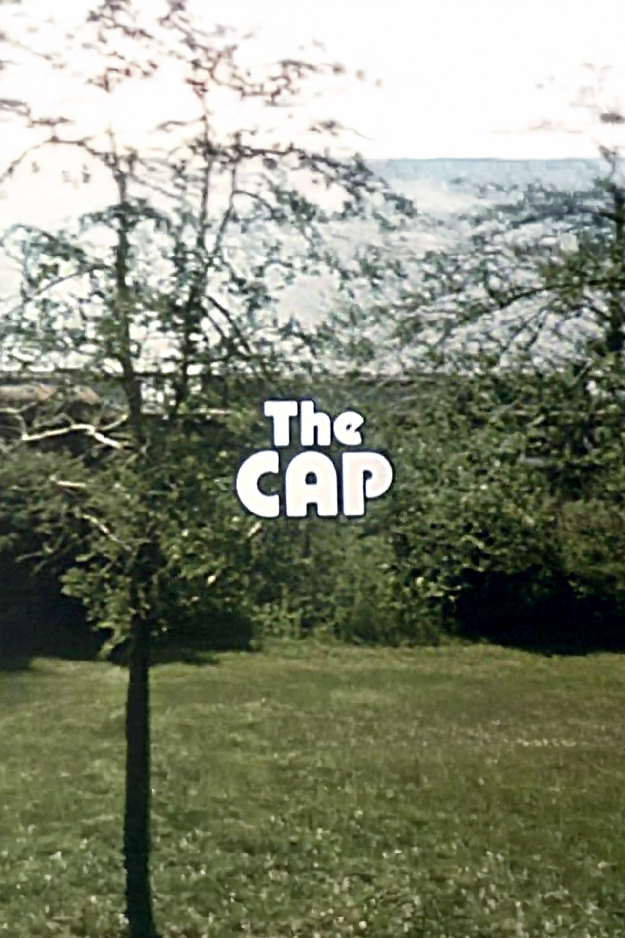 Pôster de The Cap
