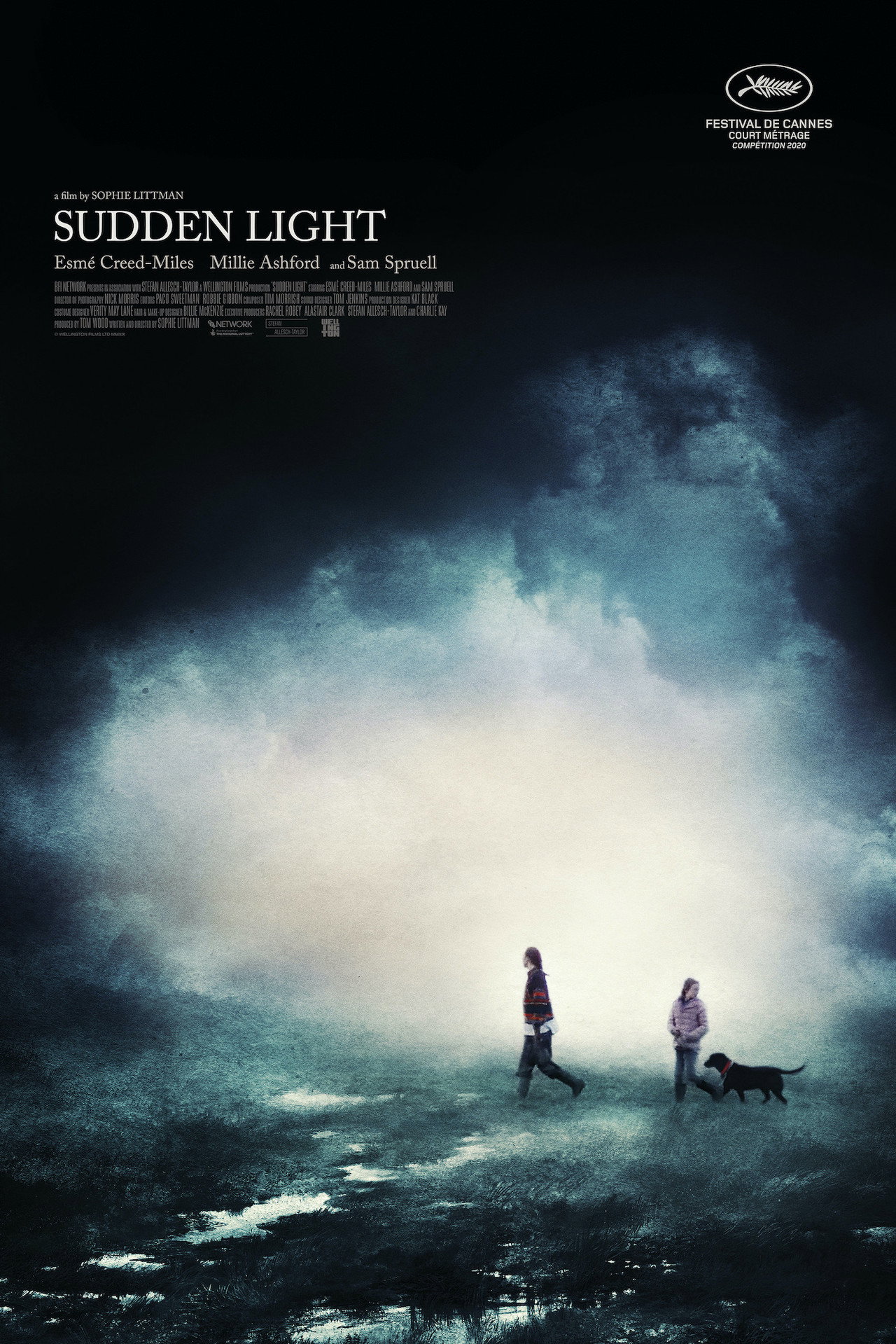 Pôster de Sudden Light