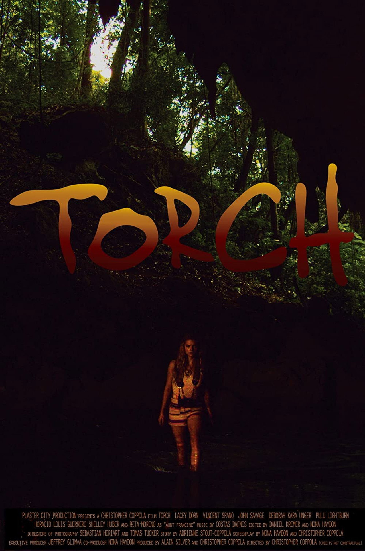 Pôster de Torch