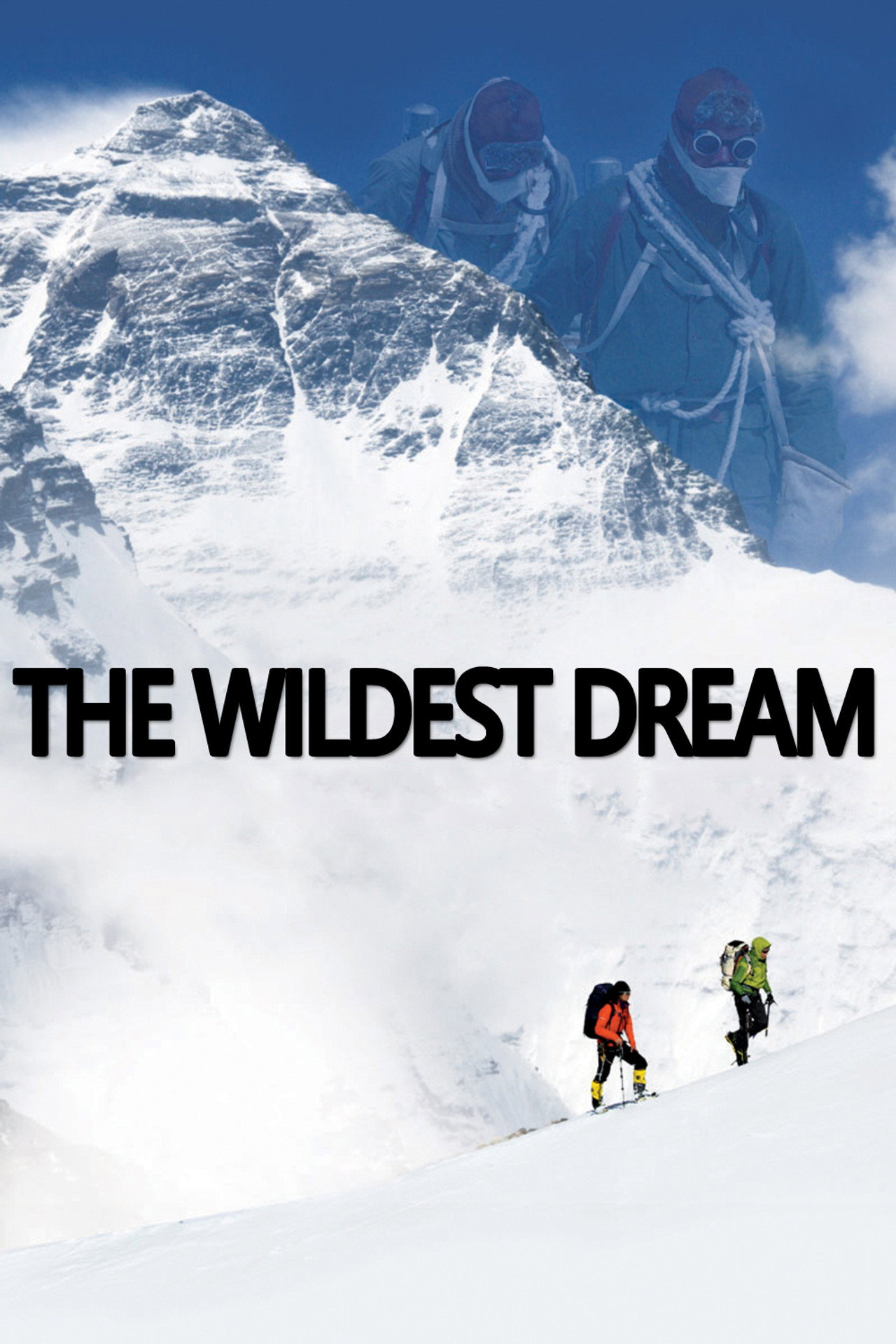 Pôster de The Wildest Dream