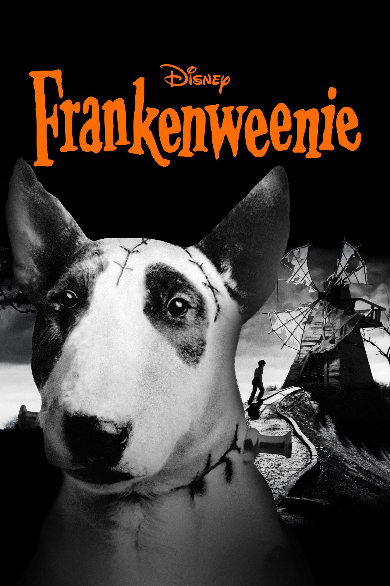 Pôster de Frankenweenie