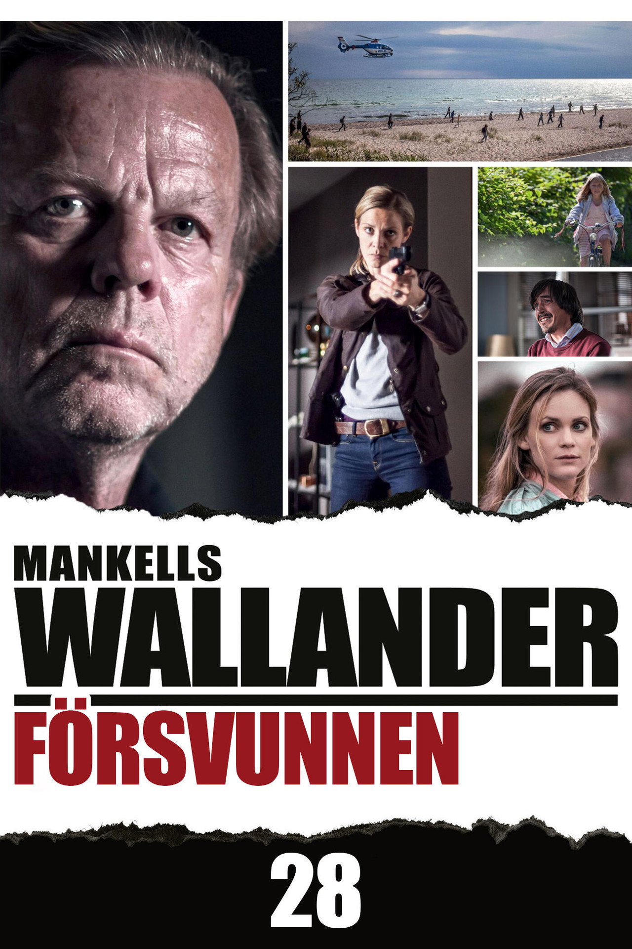 Pôster de Försvunnen