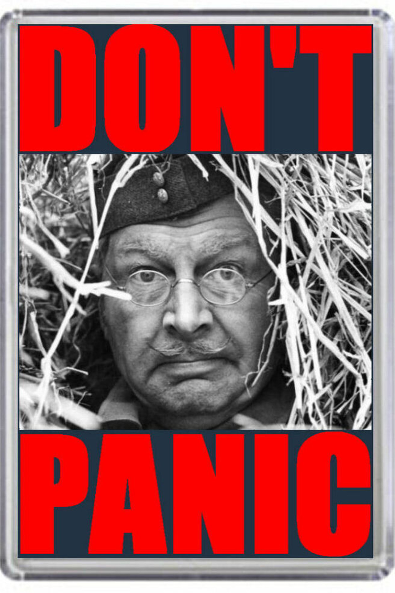 Pôster de Don't Panic: The Dad's Army Story