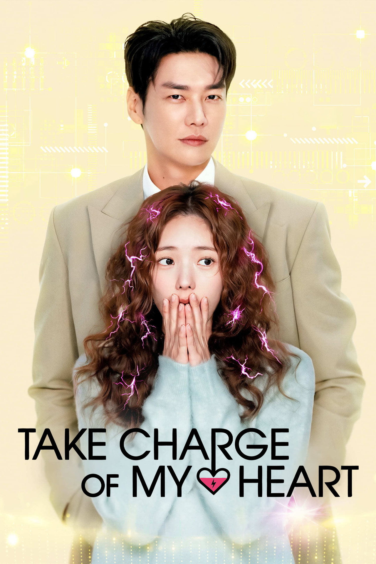Pôster de Take Charge of My Heart