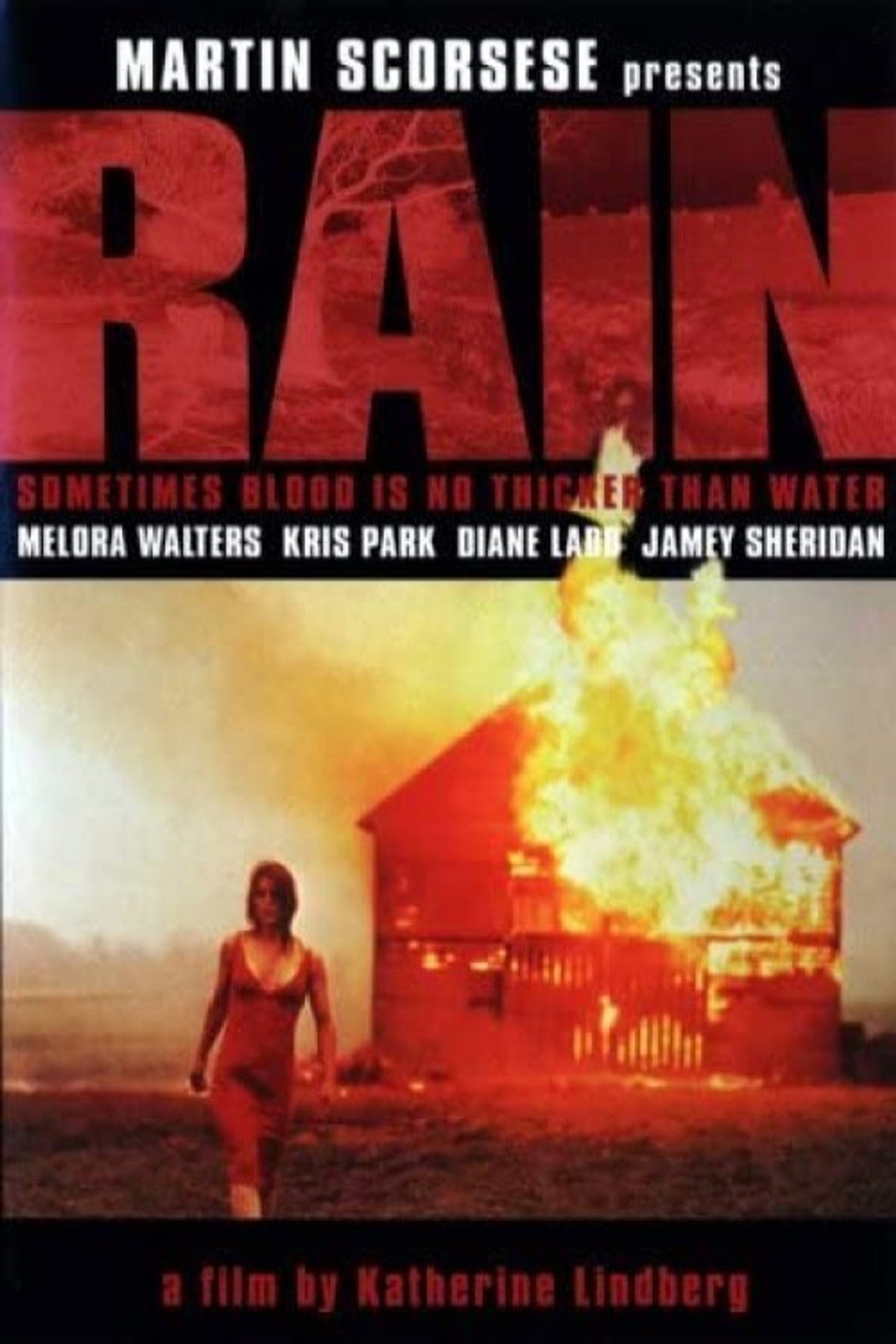 Pôster de Rain