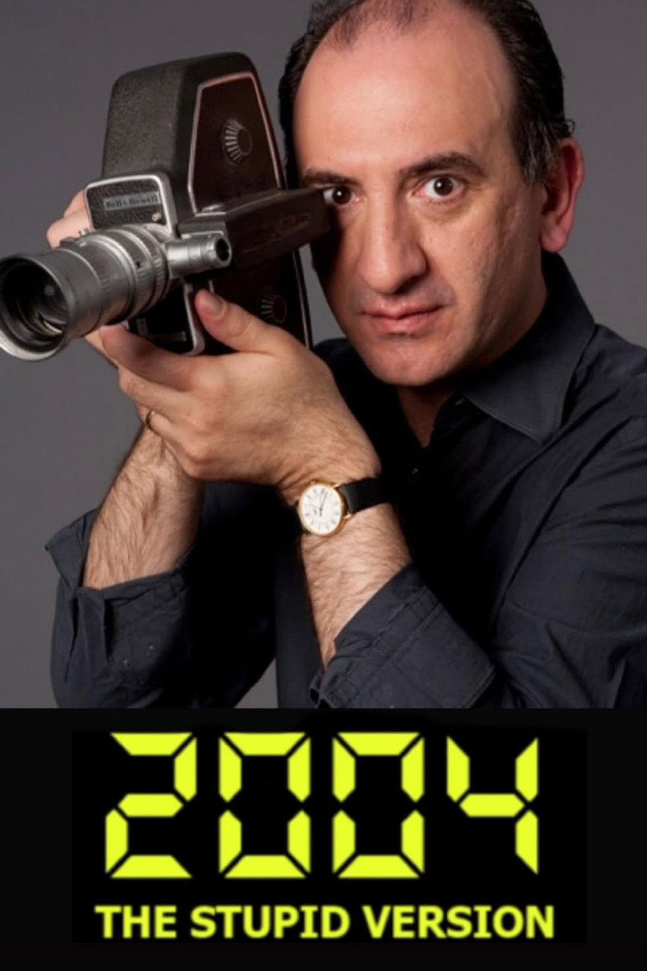 Pôster de 2004: The Stupid Version