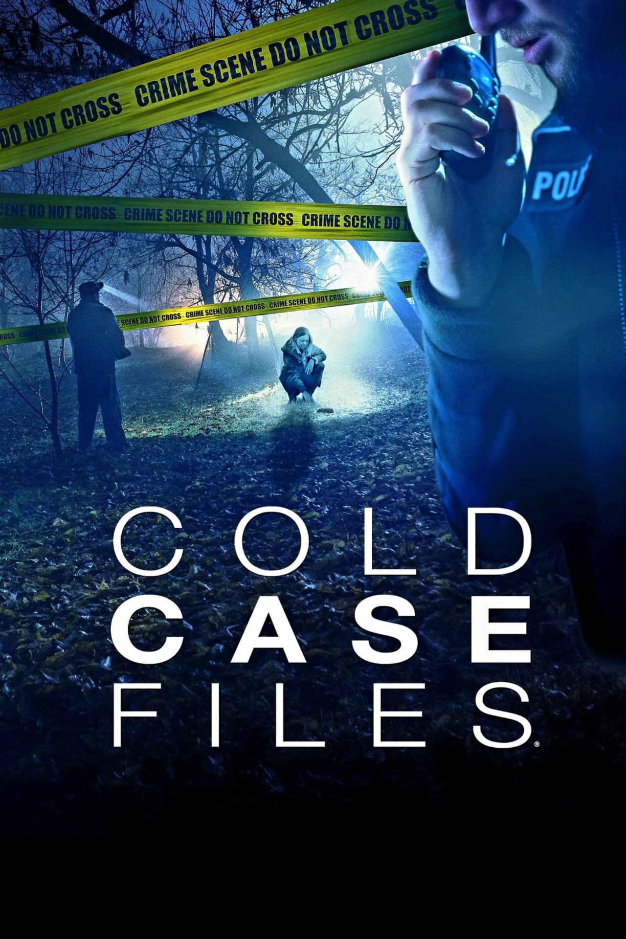 Pôster de Cold Case Files