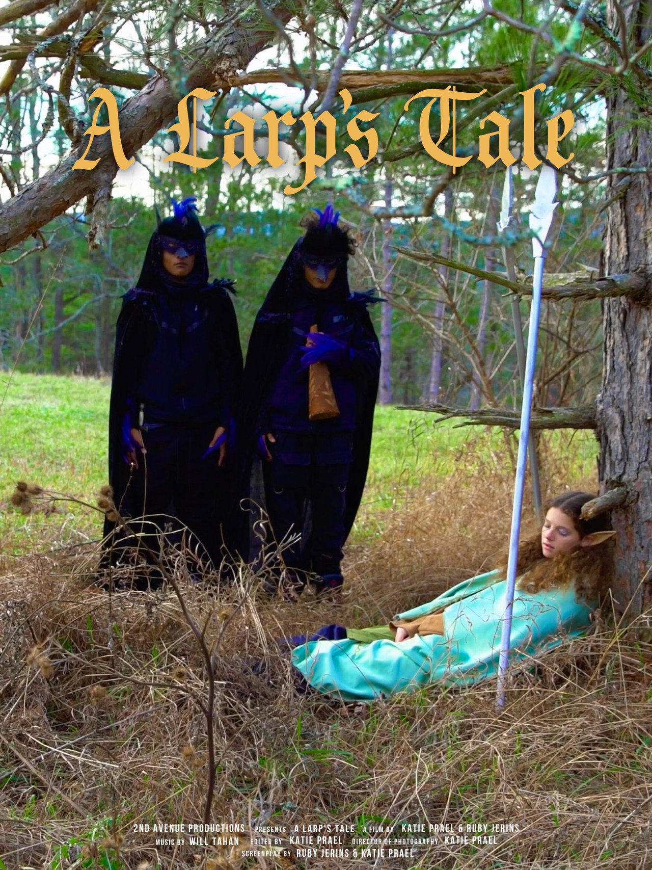 Pôster de A Larp's Tale