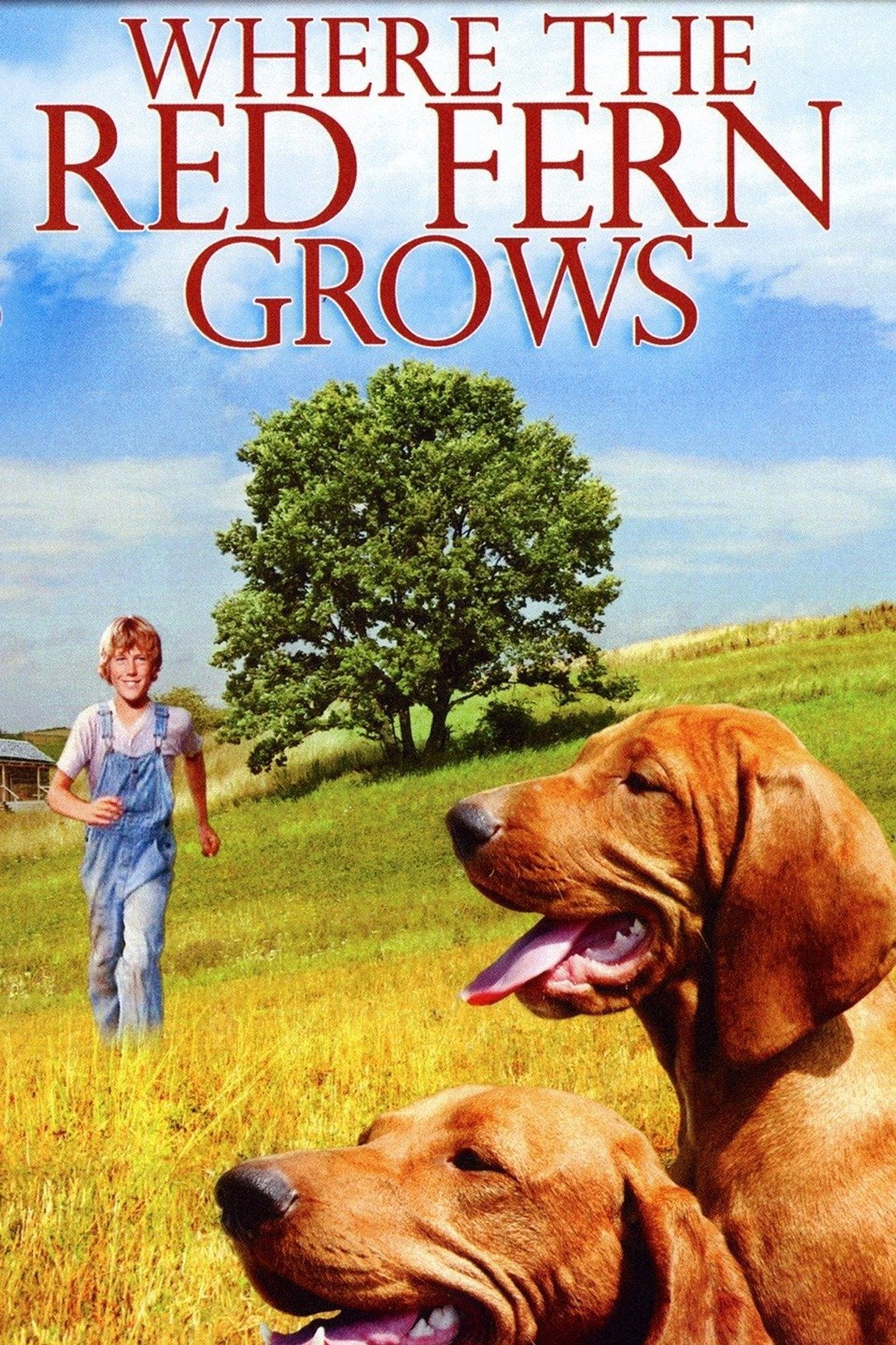 Pôster de Where the Red Fern Grows