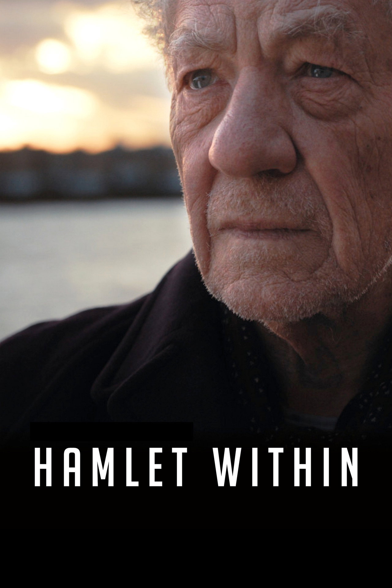 Pôster de Hamlet Within