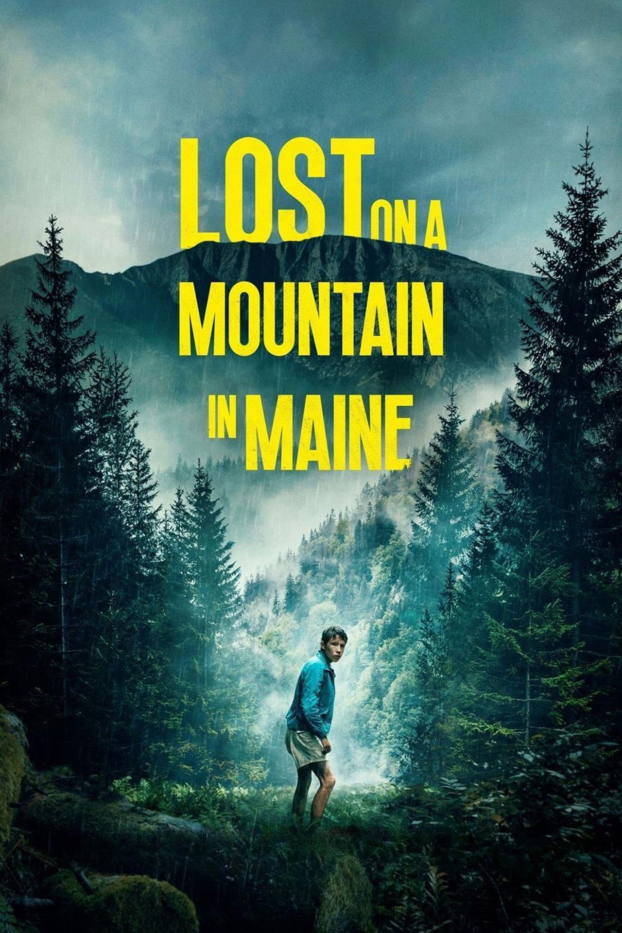 Pôster de Lost on a Mountain in Maine