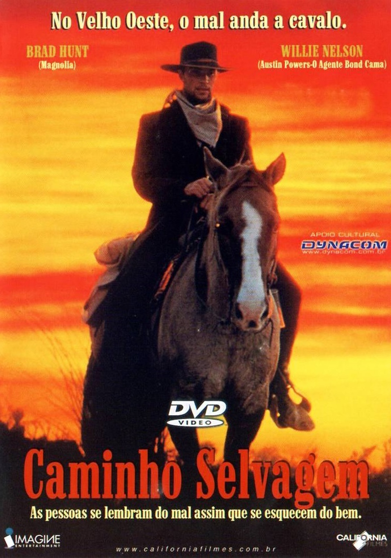 Pôster de Caminho Selvagem
