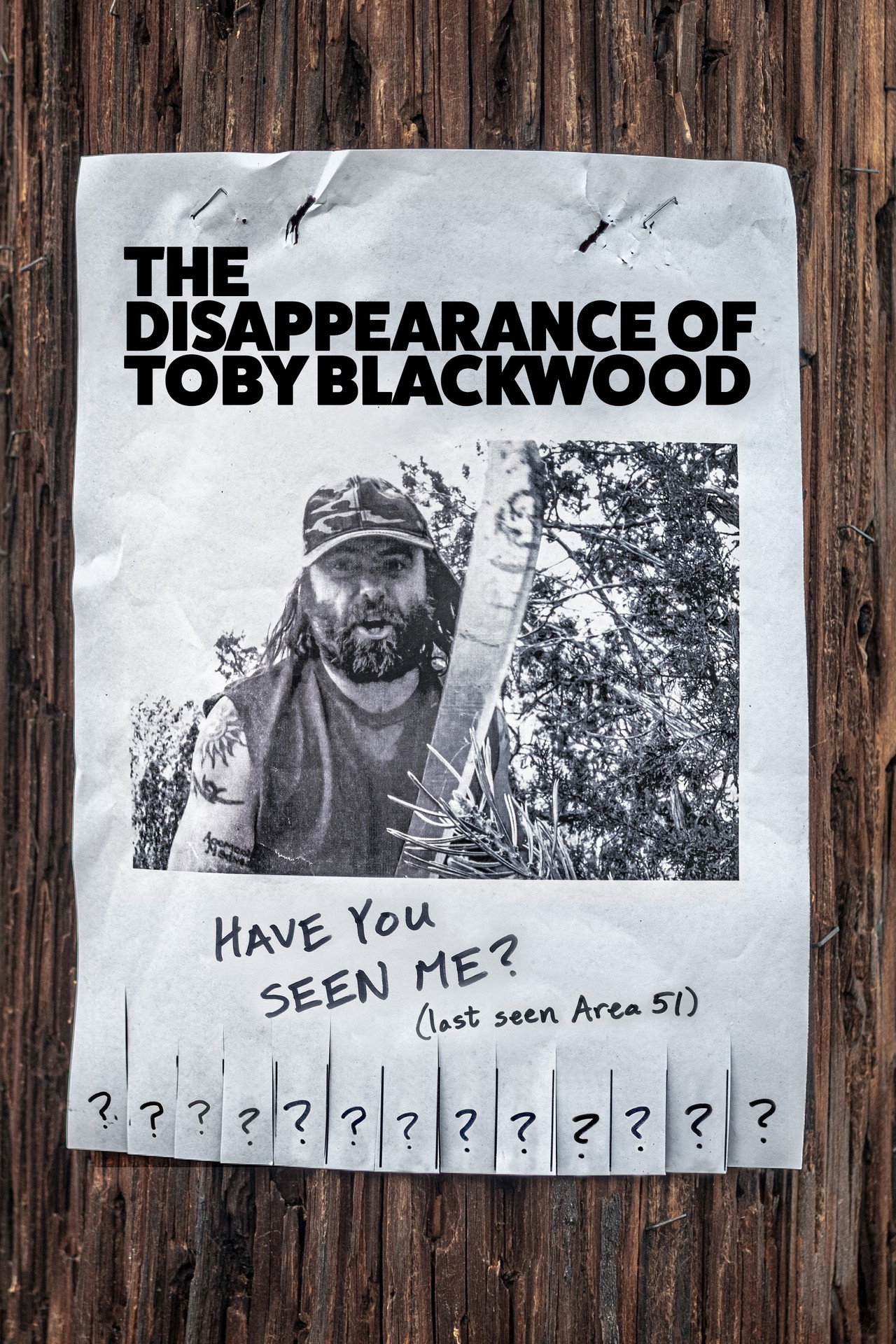 Pôster de The Disappearance of Toby Blackwood