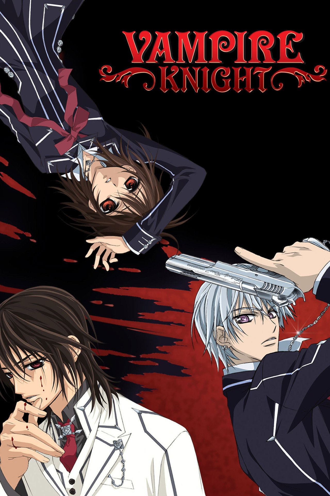 Pôster de Vampire Knight