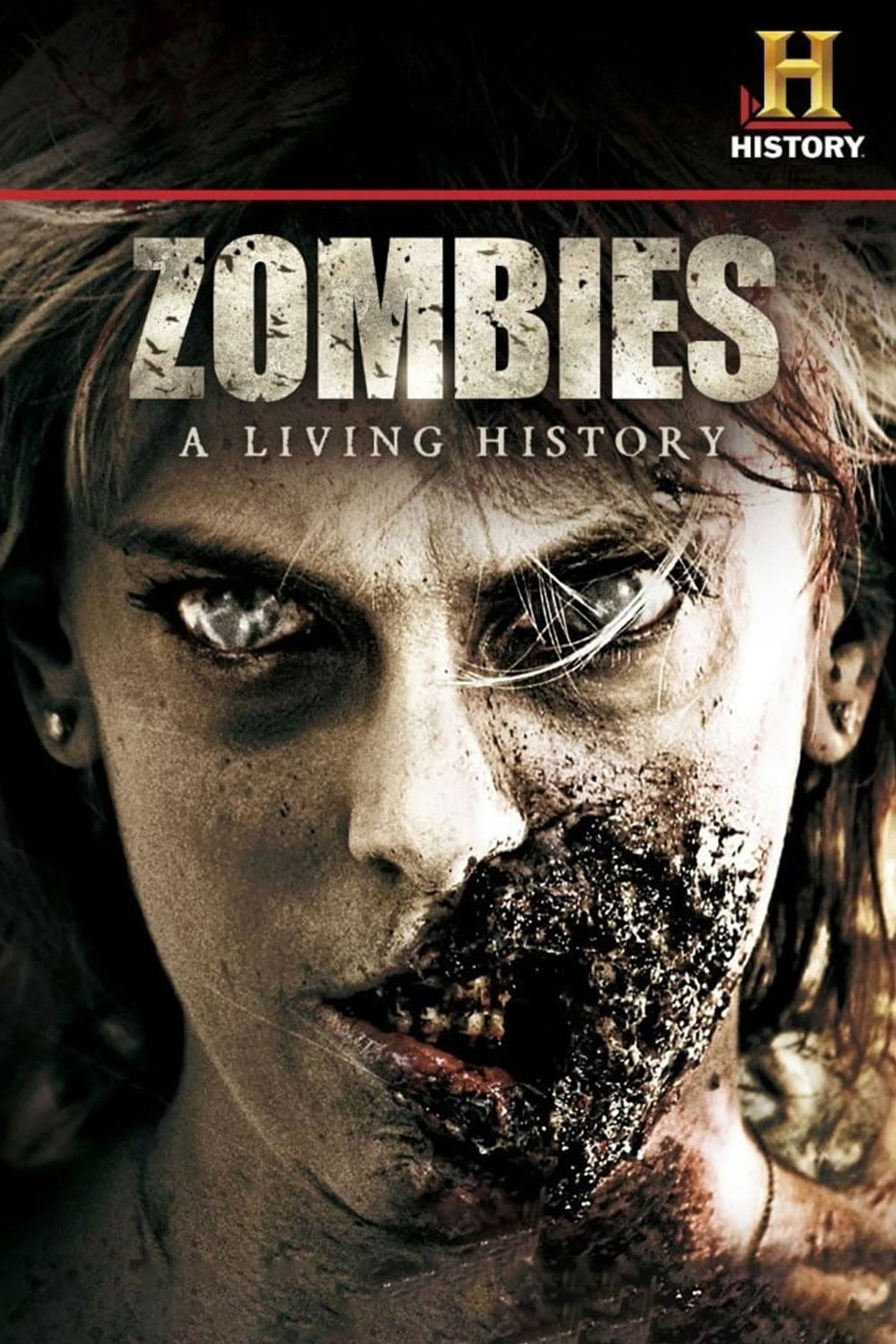 Pôster de Zombies: A Living History