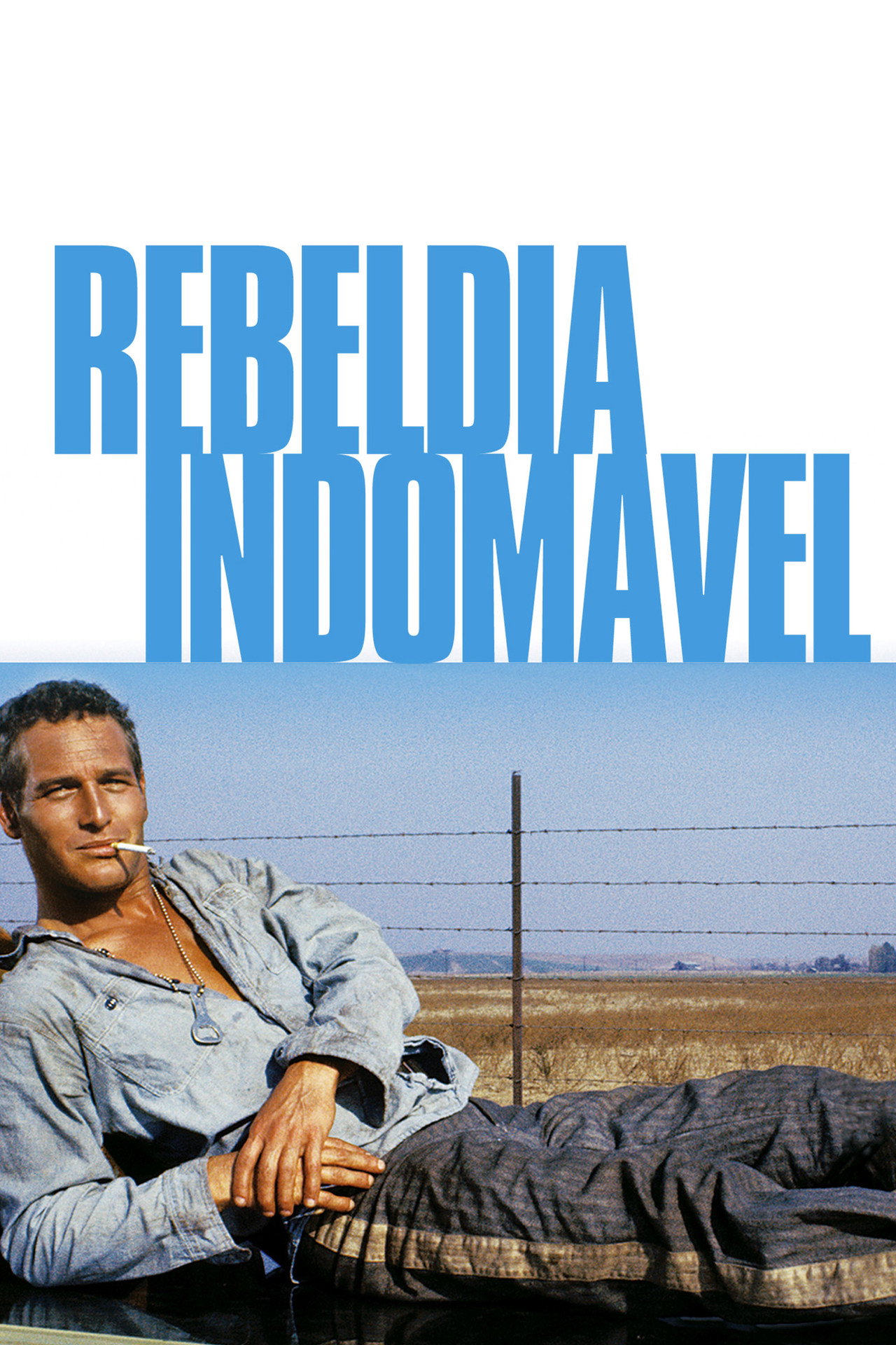 Pôster de Rebeldia Indomável