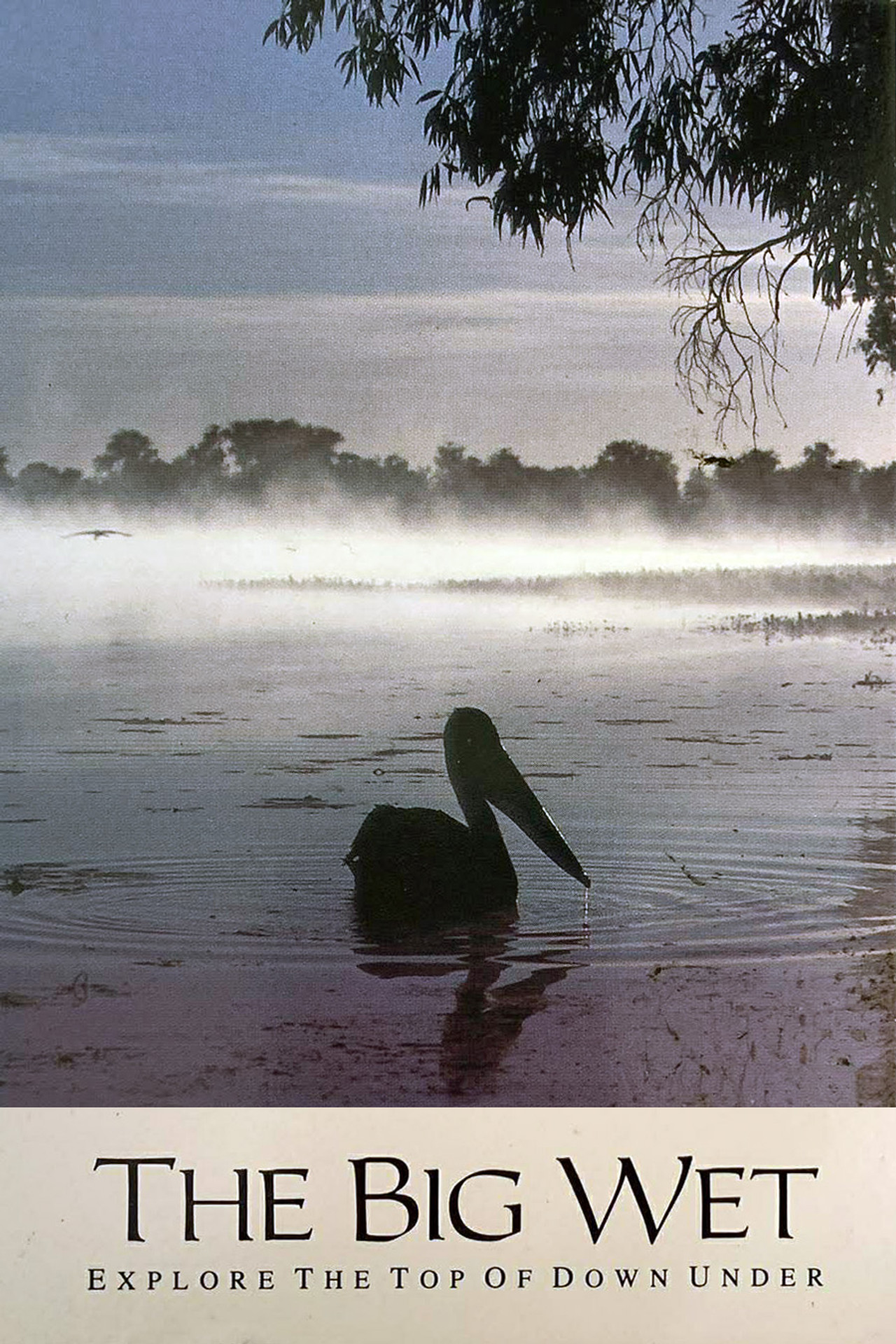 Pôster de The Big Wet