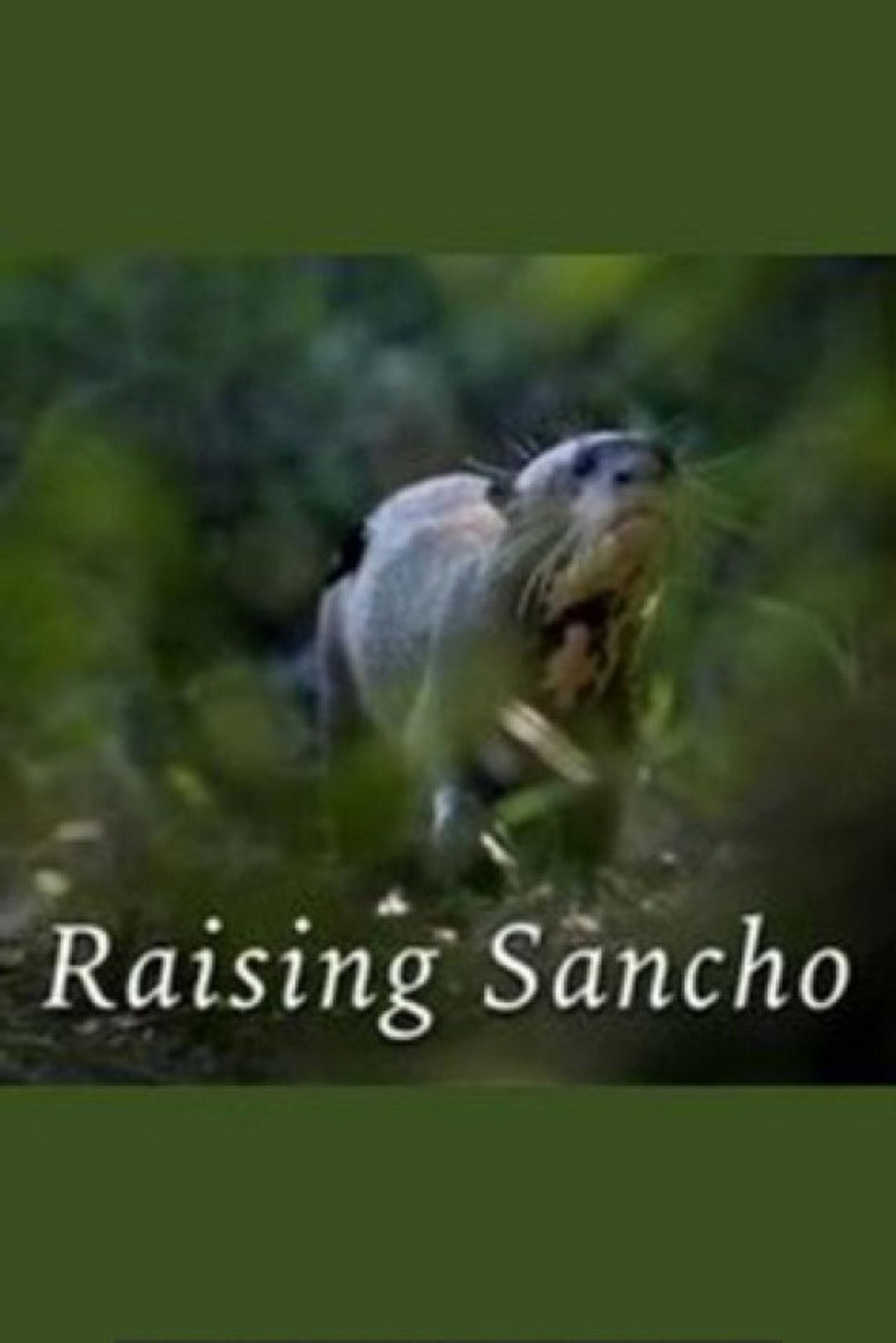 Pôster de Raising Sancho