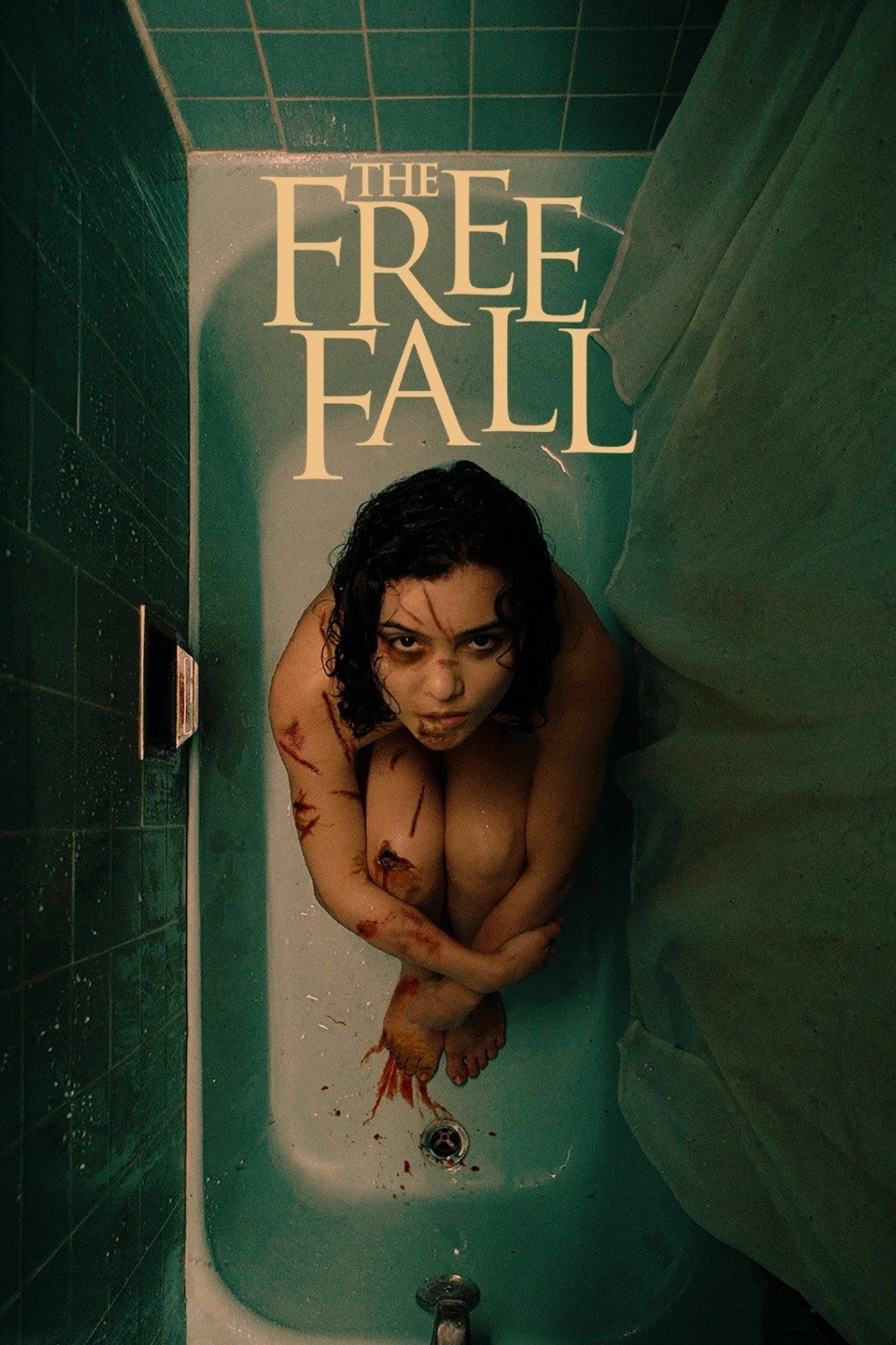 Pôster de The Free Fall